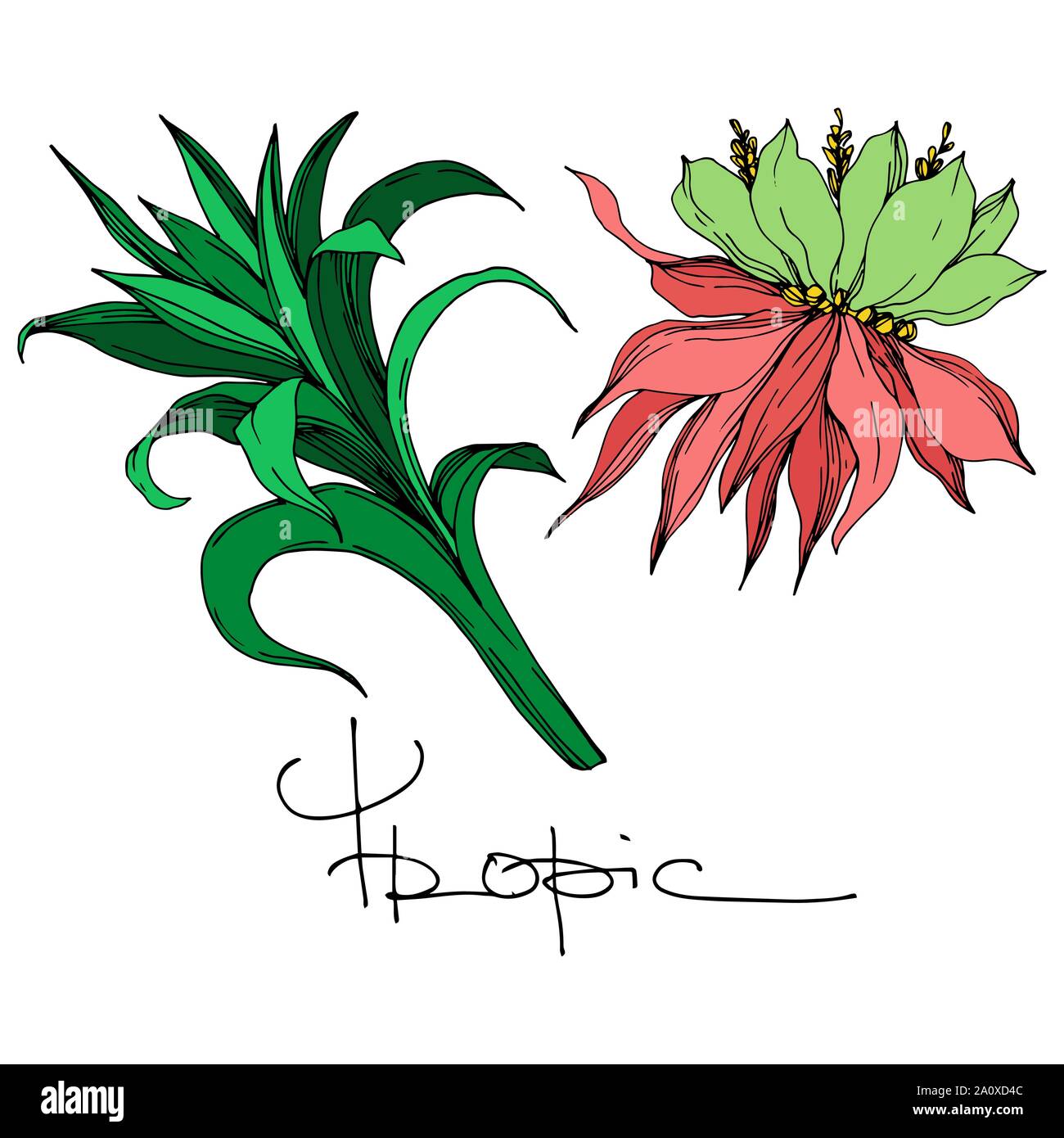 Hawaiian tropical exotique de vecteur de l'été. Palm beach jungle arbre feuilles fleurs botanique. Gravée en noir et blanc L'art d'encre fleur isolée illustratio Illustration de Vecteur