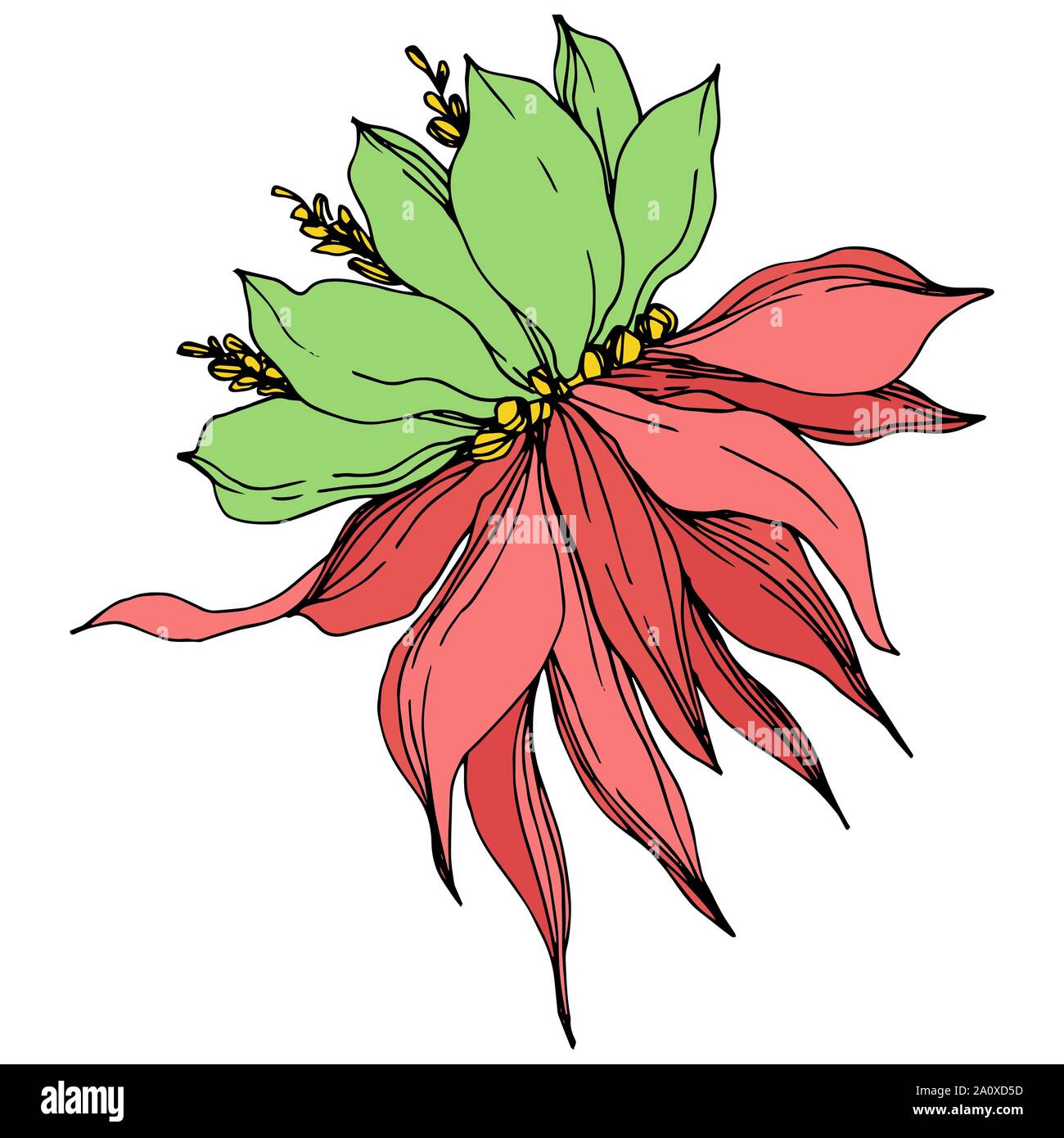 Hawaiian tropical exotique de vecteur de l'été. Palm beach jungle arbre feuilles fleurs botanique. Gravée en noir et blanc L'art d'encre fleur isolée illustratio Illustration de Vecteur