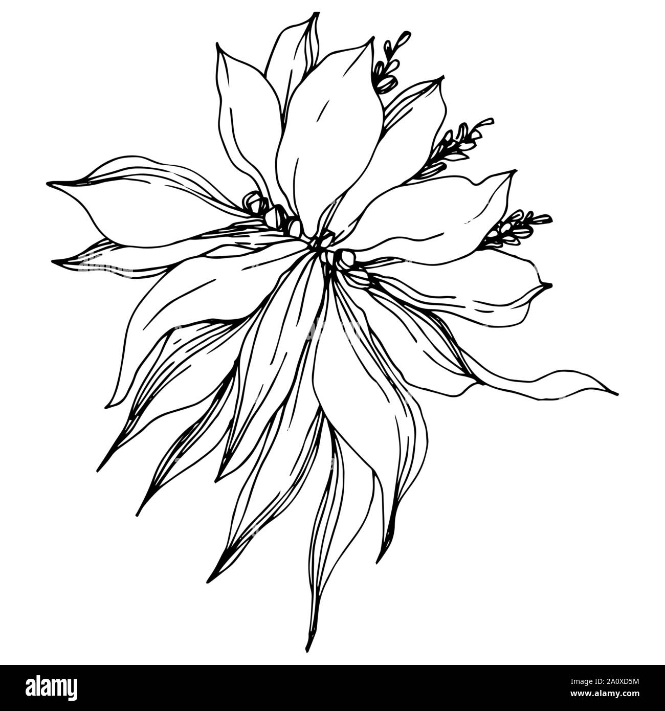 Hawaiian tropical exotique de vecteur de l'été. Palm beach jungle arbre feuilles fleurs botanique. Gravée en noir et blanc L'art d'encre fleur isolée illustratio Illustration de Vecteur