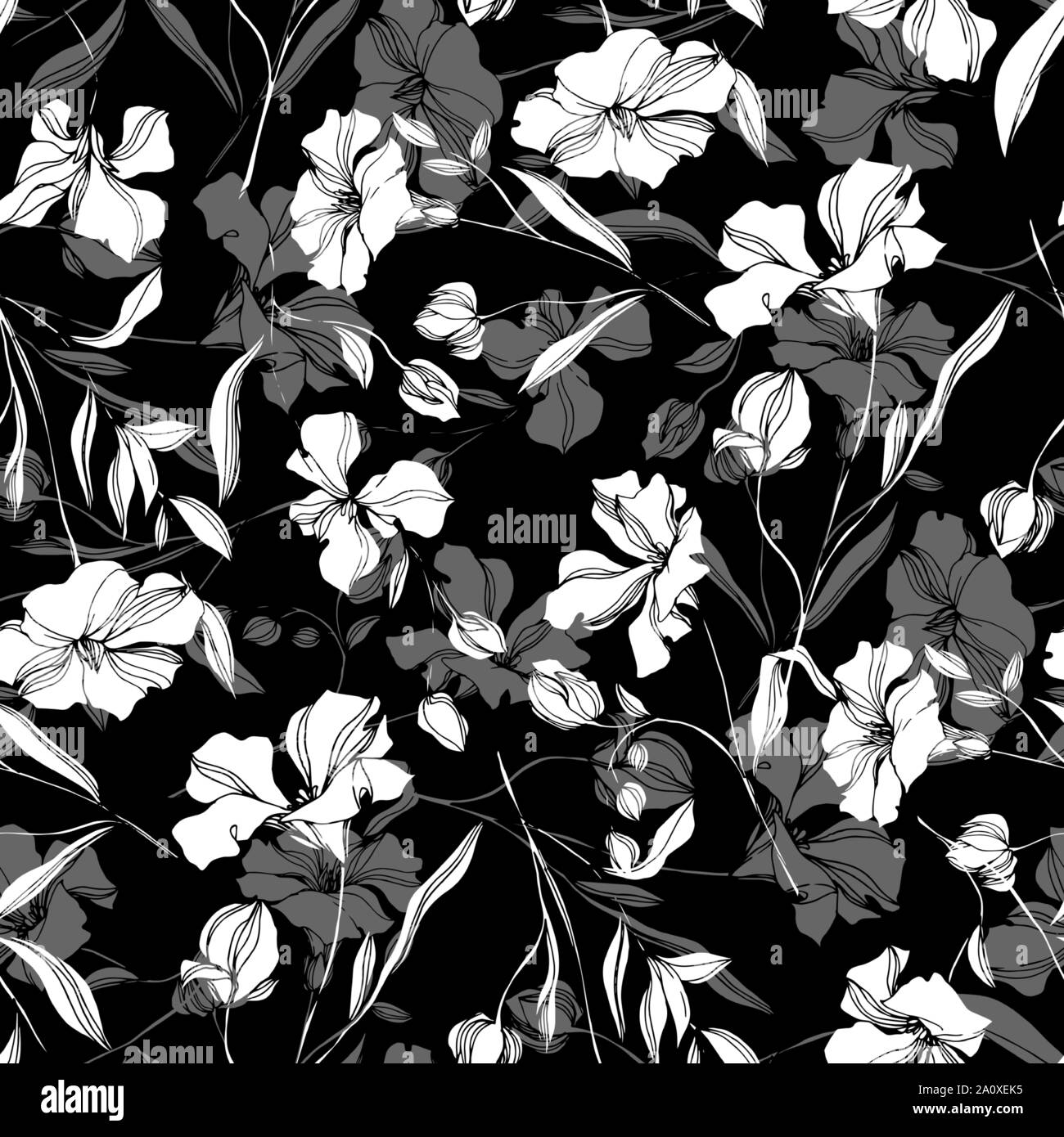 Vector floral fleurs botanique de lin. Lame de ressort sauvages isolés de fleurs sauvages. Noir et blanc Encre gravée motif de fond transparente art.. Mur en tissu Illustration de Vecteur