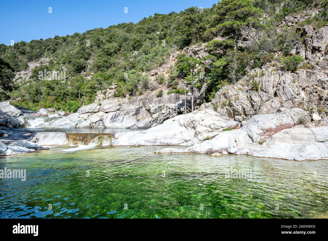 Rivière avec piscines naturelles et forêt de Travu valley. Chisà, Corse, France Banque D'Images