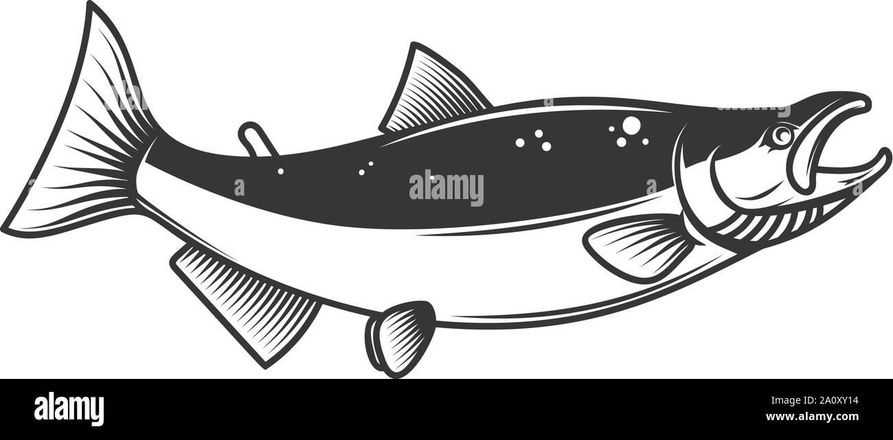Illustration du saumon. L'élément de conception pour poster, emblème, signe, logo, étiquette. Vector illustration Illustration de Vecteur