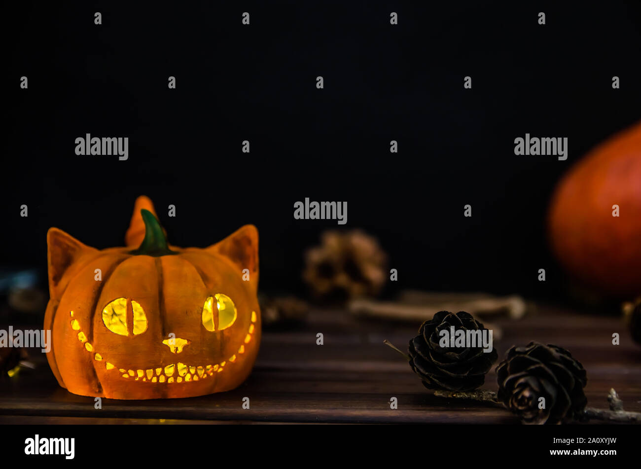 Cheshire Cat Banque D Image Et Photos Page 3 Alamy