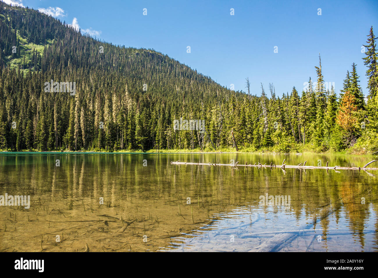 Dans la nature. Lacs de Joffre, BC, Canada. Banque D'Images