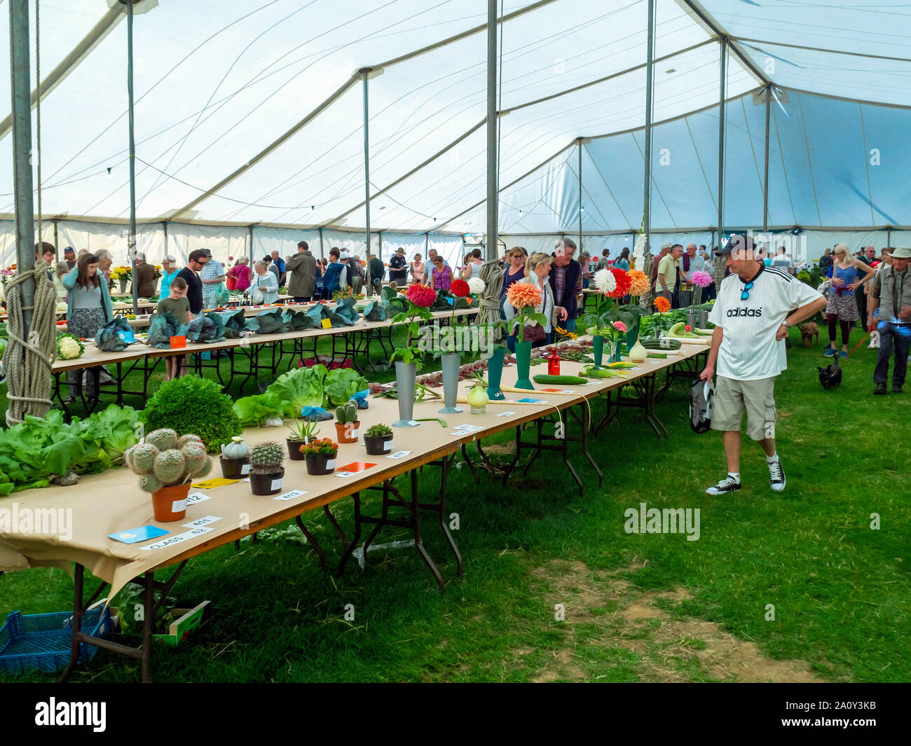 160e exposition annuelle de la Société agricole de shérif devient 21 septembre 2019 intérieur du chapiteau de l'Horticulture du prix avec des légumes et des fleurs Banque D'Images