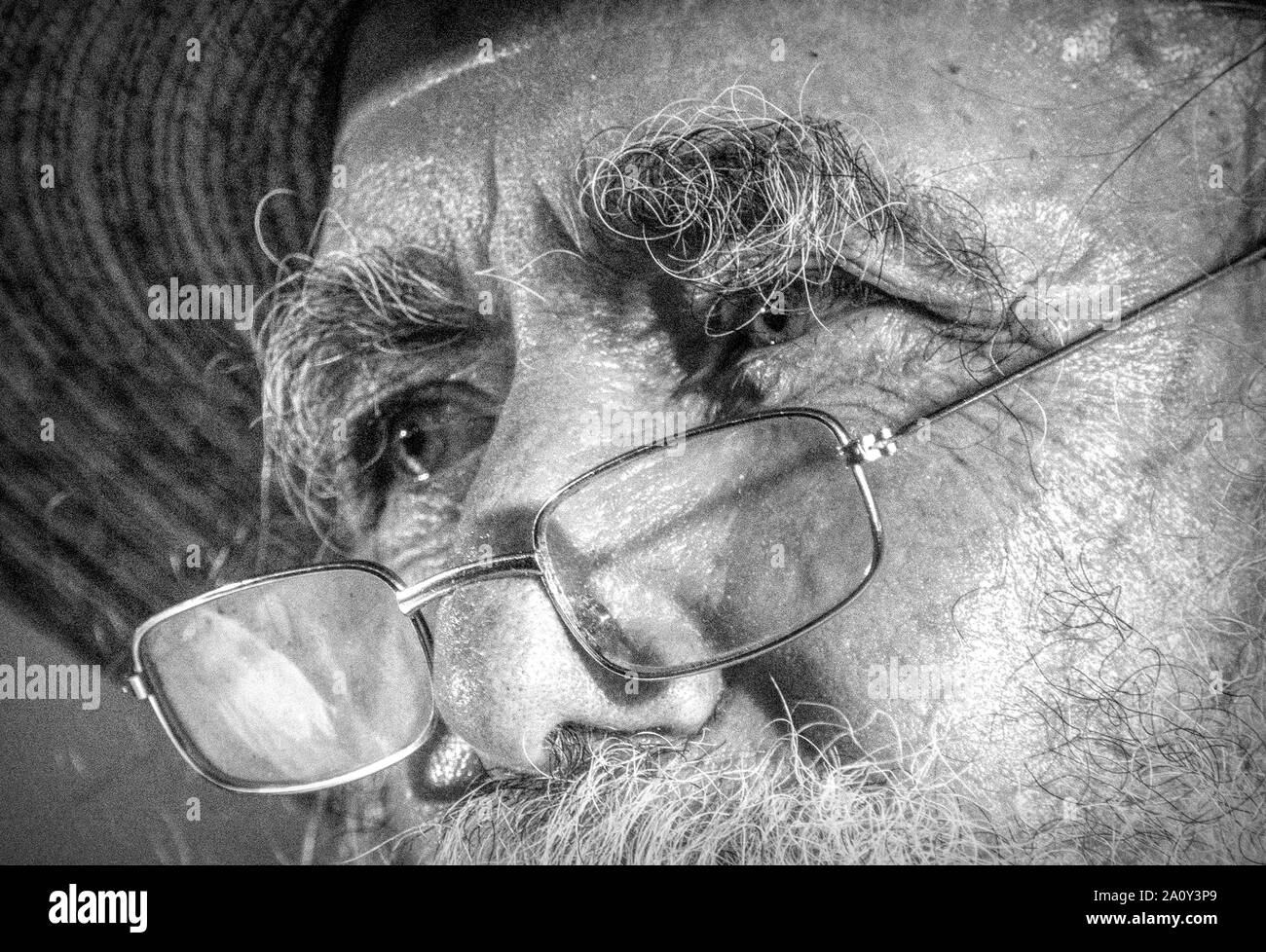 Sourcils broussailleux Banque D'Images