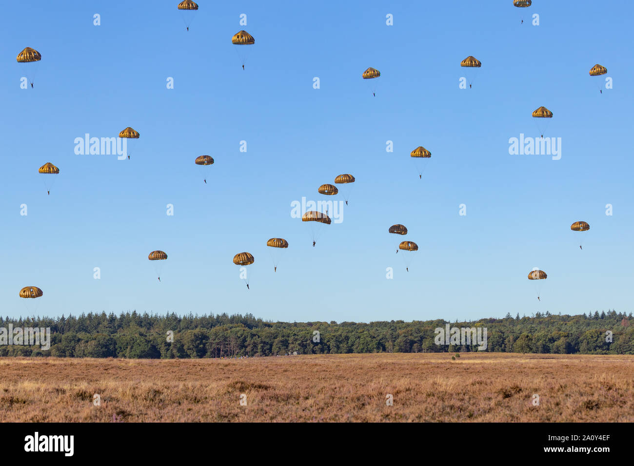 L'atterrissage des parachutistes sur le Ginkel heath 75 ans souvenir de l'opération Market Garden WOII Arnhem aux Pays-Bas Banque D'Images