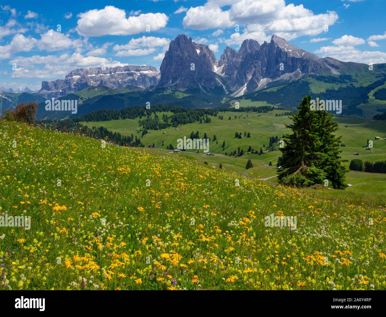 Siusi Dolomites plus grand plateau pré alpin dans les montagnes de l'Europe Groupe Langkofel en arrière-plan Banque D'Images