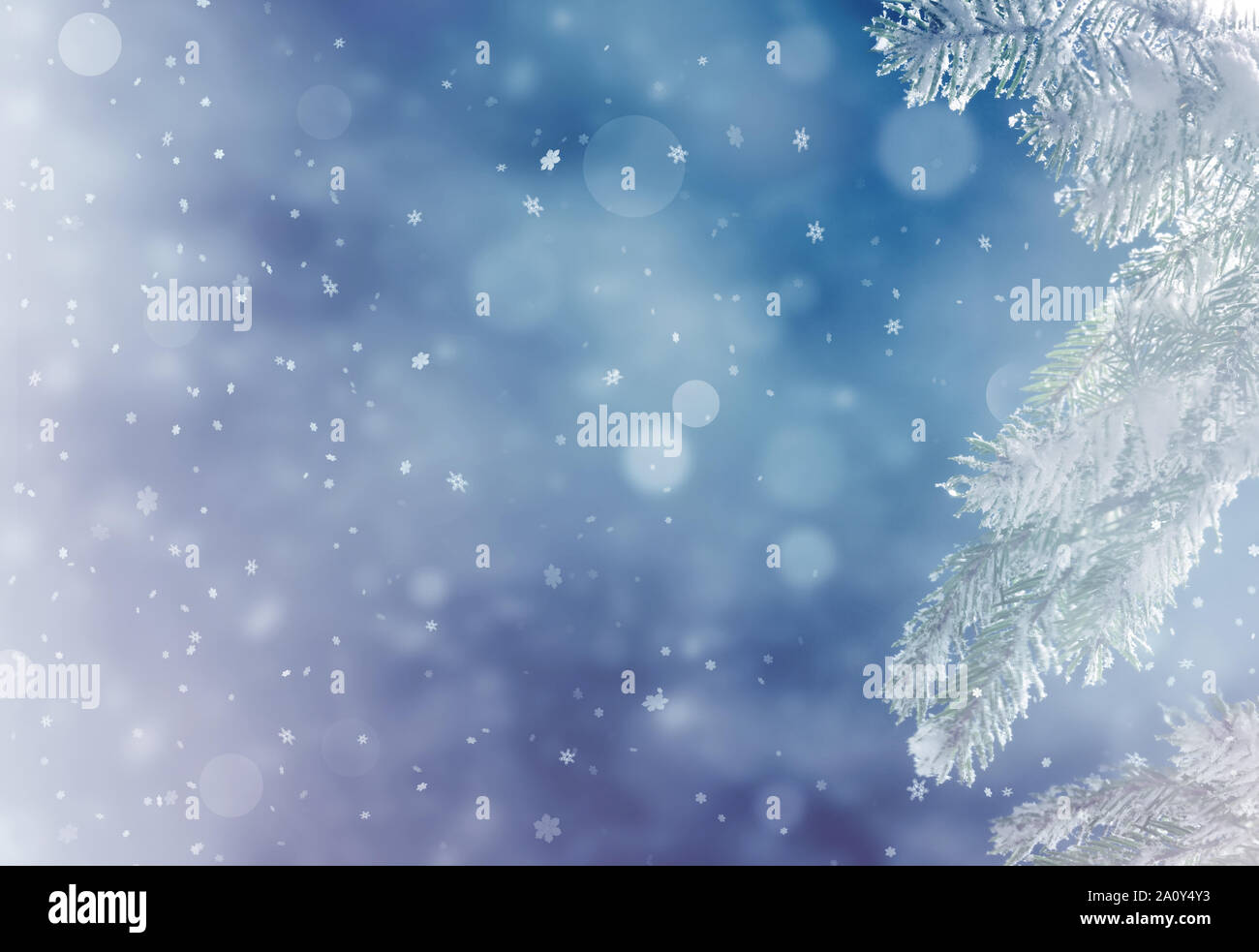 Beau paysage d'hiver enneigé avec une branche de sapin enneigées, des flocons de neige et ciel bleu. Noël arrière-plan d'hiver. Concept d'hiver. Banque D'Images