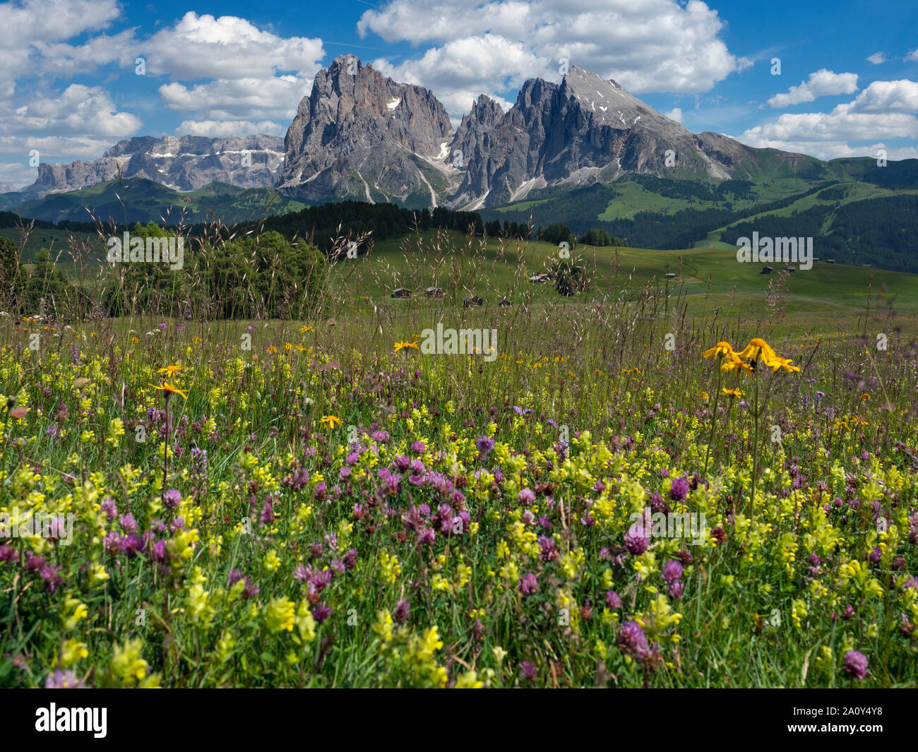 Siusi Dolomites plus grand plateau pré alpin dans les montagnes de l'Europe Groupe Langkofel en arrière-plan Banque D'Images