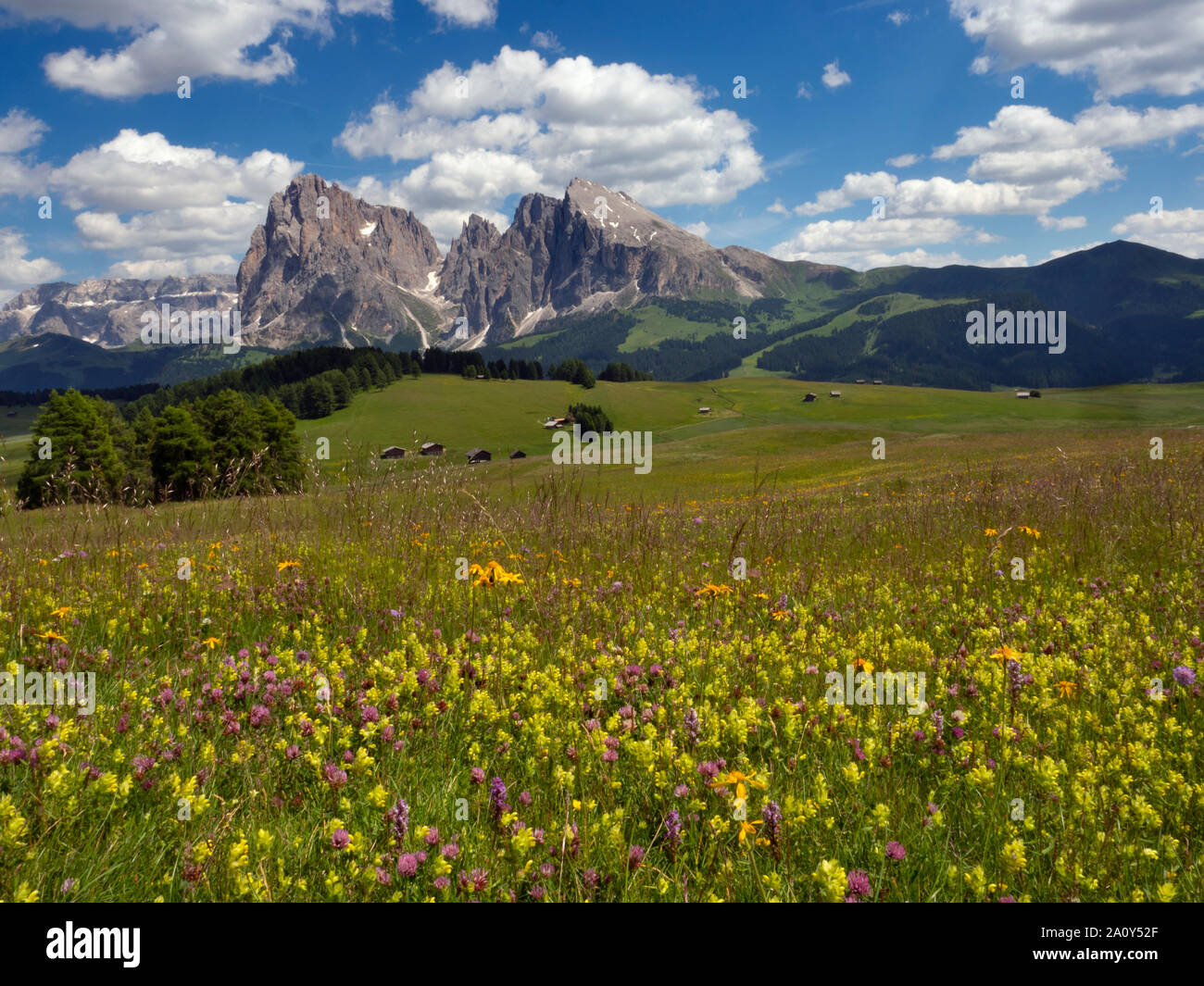 Siusi Dolomites plus grand plateau pré alpin dans les montagnes de l'Europe Groupe Langkofel en arrière-plan Banque D'Images