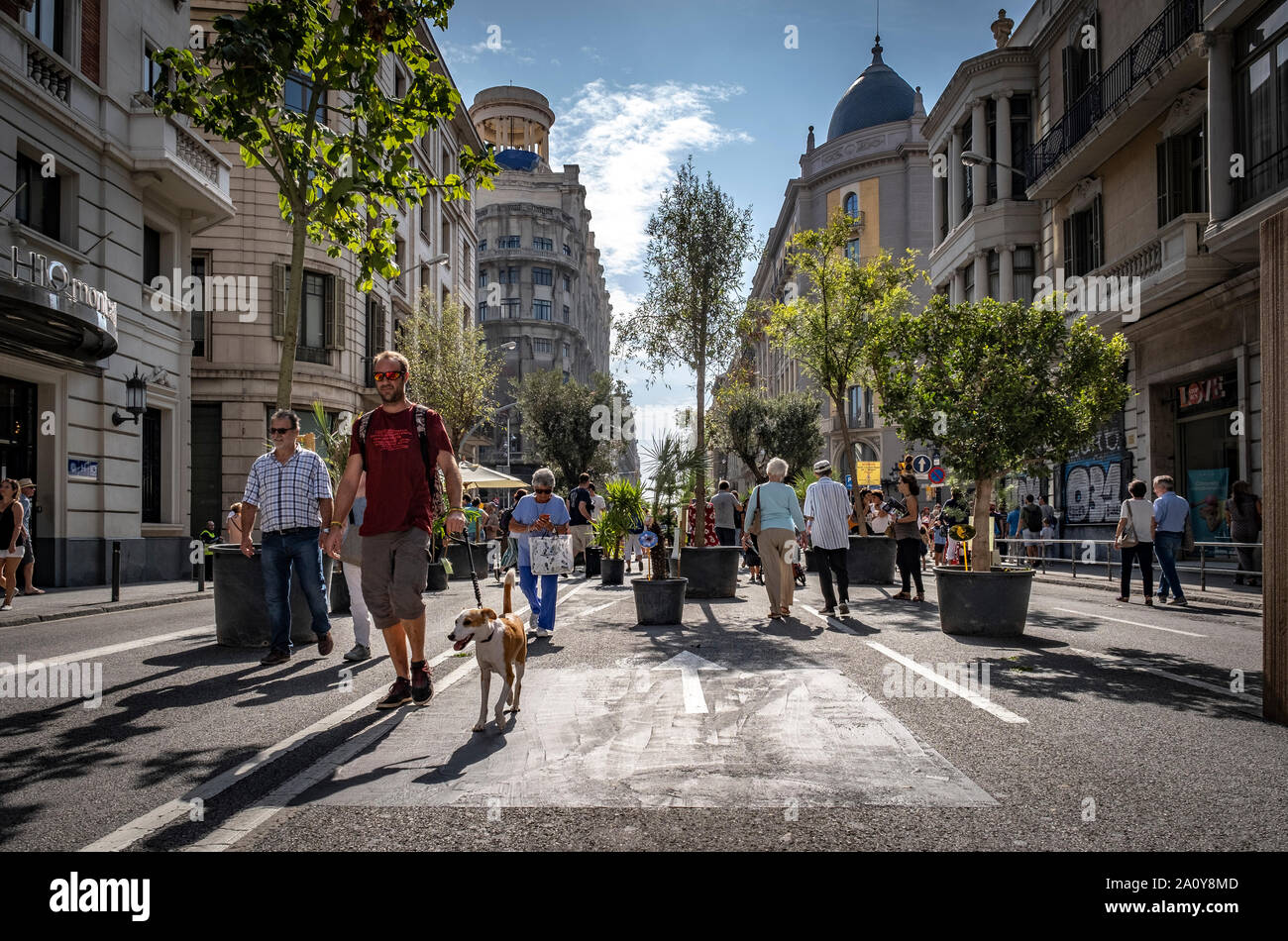 Décoration avec des plantes ornementales occupe la Via Laietana durant la journée festive de la Journée mondiale sans voitures.Barcelone célèbre la Journée mondiale sans voiture par conditionné l'une des principales artères de la ville pour l'utilisation de citoyens ayant des activités récréatives culturelles différentes. Des milliers de citoyens ont profité d'une journée festive sur la Via Laietana avec la circulation complètement fermée aux véhicules. Banque D'Images