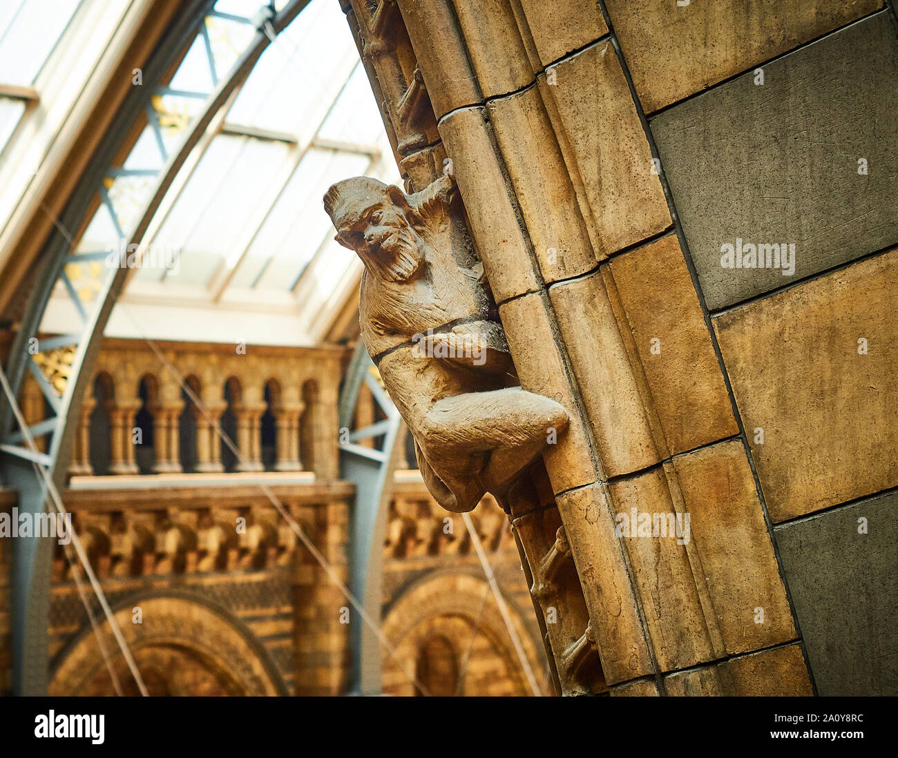 Une statue de singe accroché à une colonne sur un mur au-dessus de l'Hintze Hall au Natural History Museum de Londres Angleterre Banque D'Images