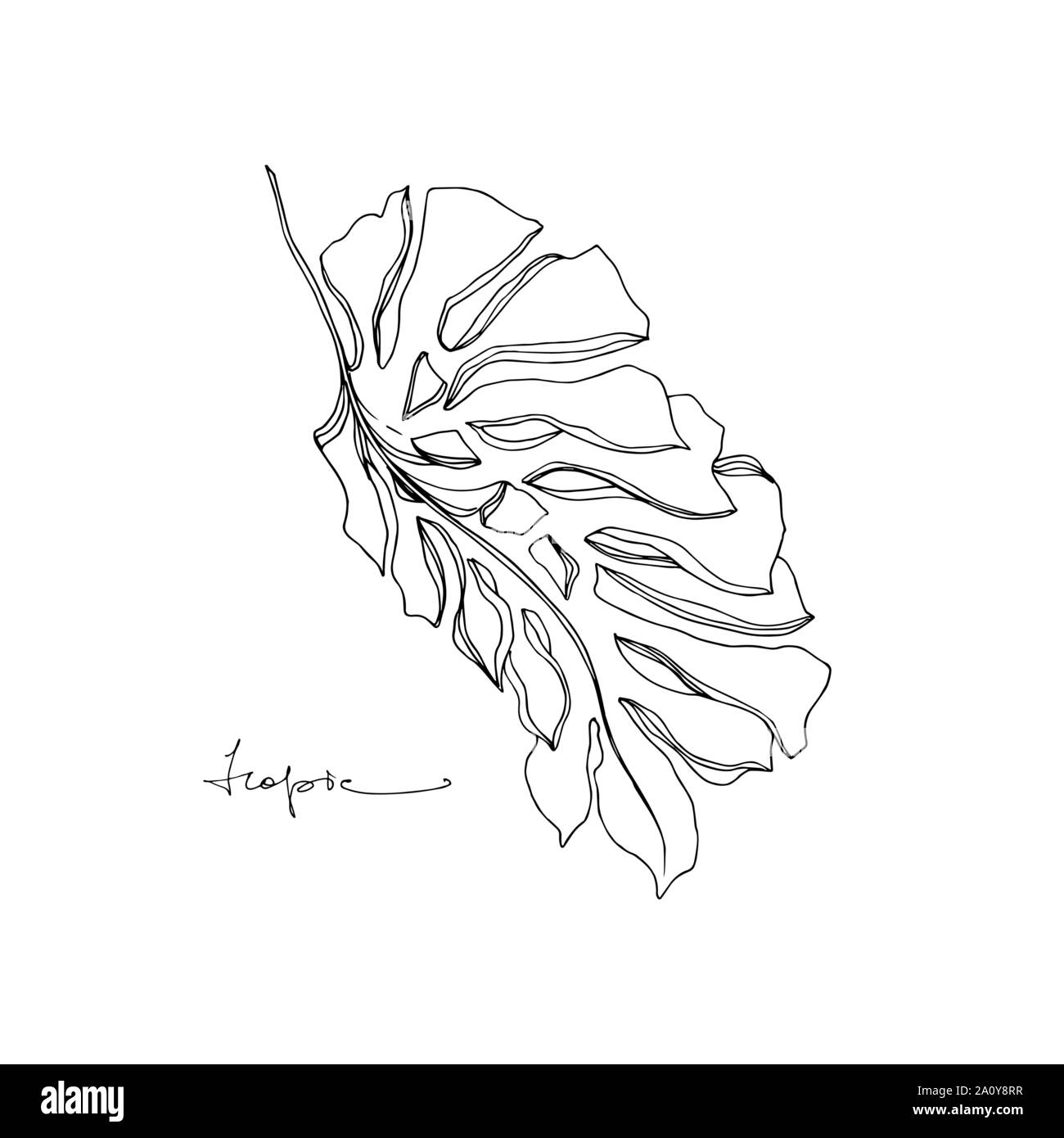 Hawaiian tropical exotique de vecteur de l'été. Palm Beach de feuilles d'arbres jungle botanique. Gravée en noir et blanc L'art d'encre feuilles isolées illustration elemen Illustration de Vecteur