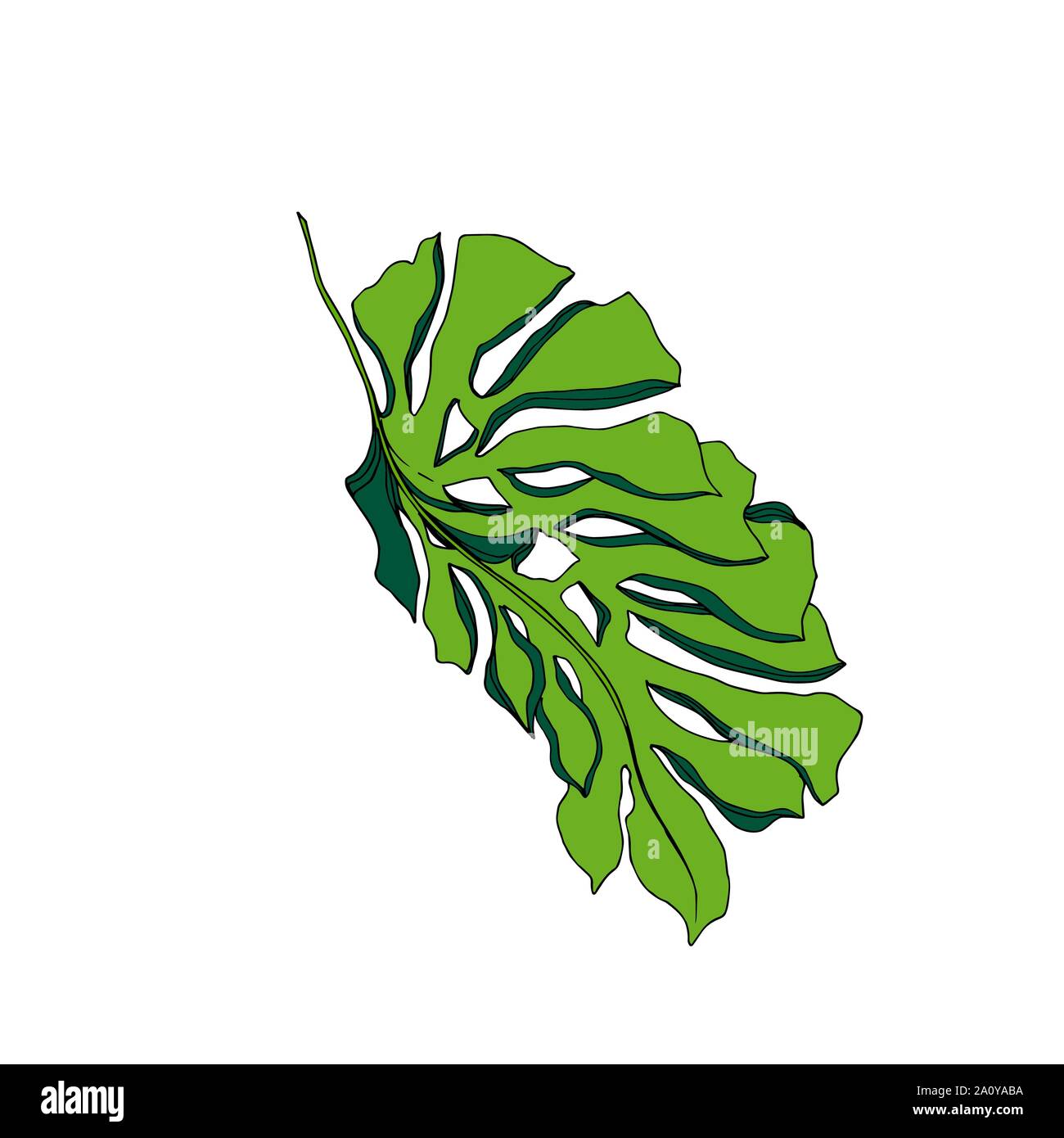 Hawaiian tropical exotique de vecteur de l'été. Palm Beach de feuilles d'arbres jungle botanique. Gravée en noir et blanc L'art d'encre feuilles isolées illustration elemen Illustration de Vecteur