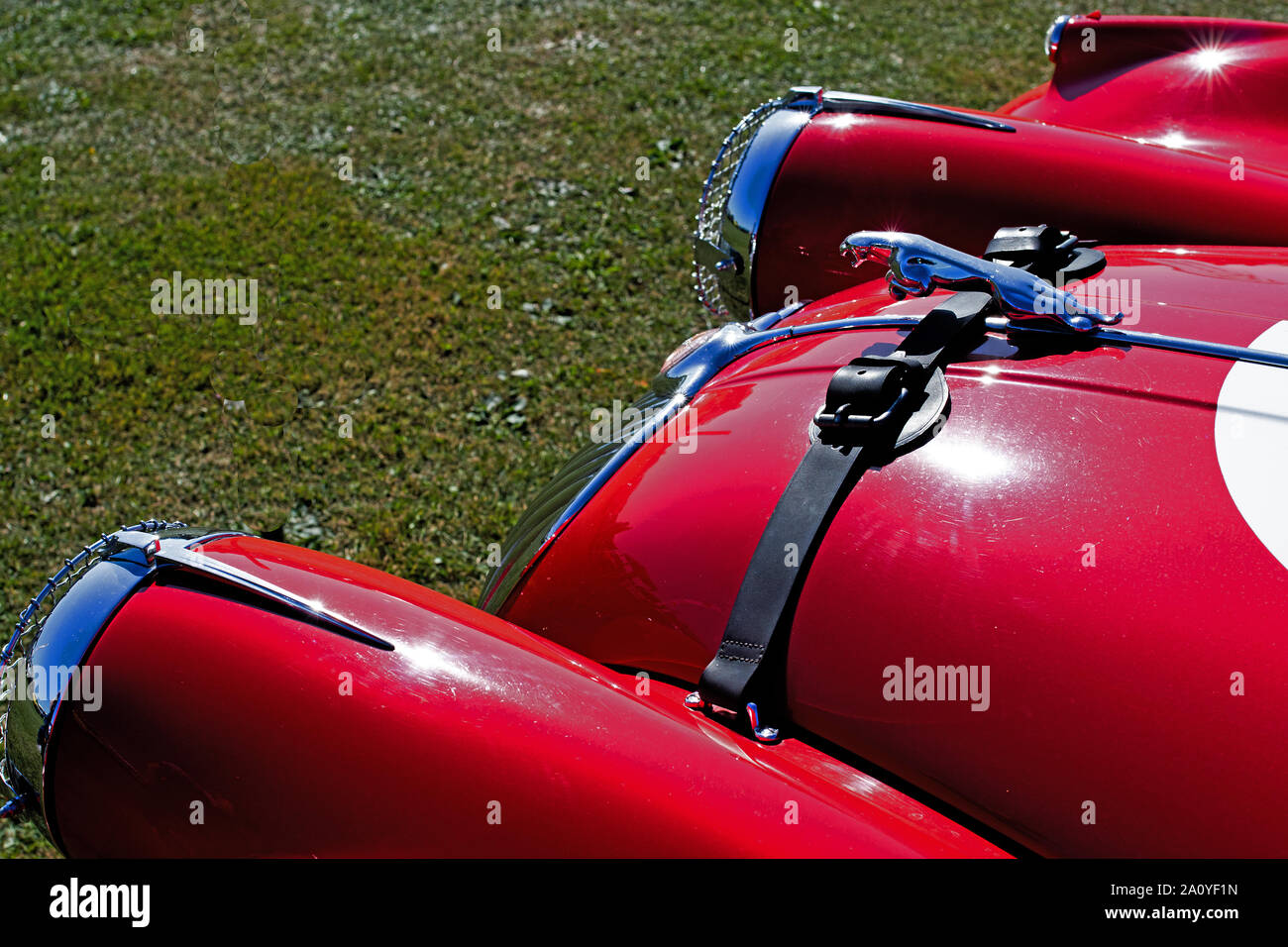 Jaguar XK120 rouge dans le soleil Banque D'Images