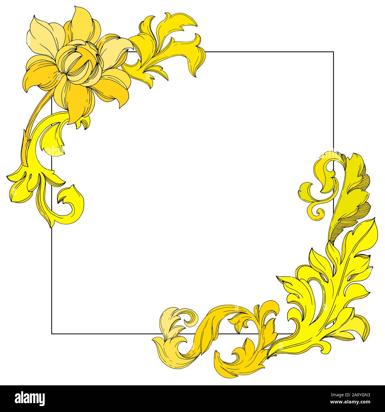 Vector floral monogramme or ornement. Design Baroque éléments isolés. L'encre noir et blanc gravé cadre frontière art square sur l'ornement blanc retour Illustration de Vecteur