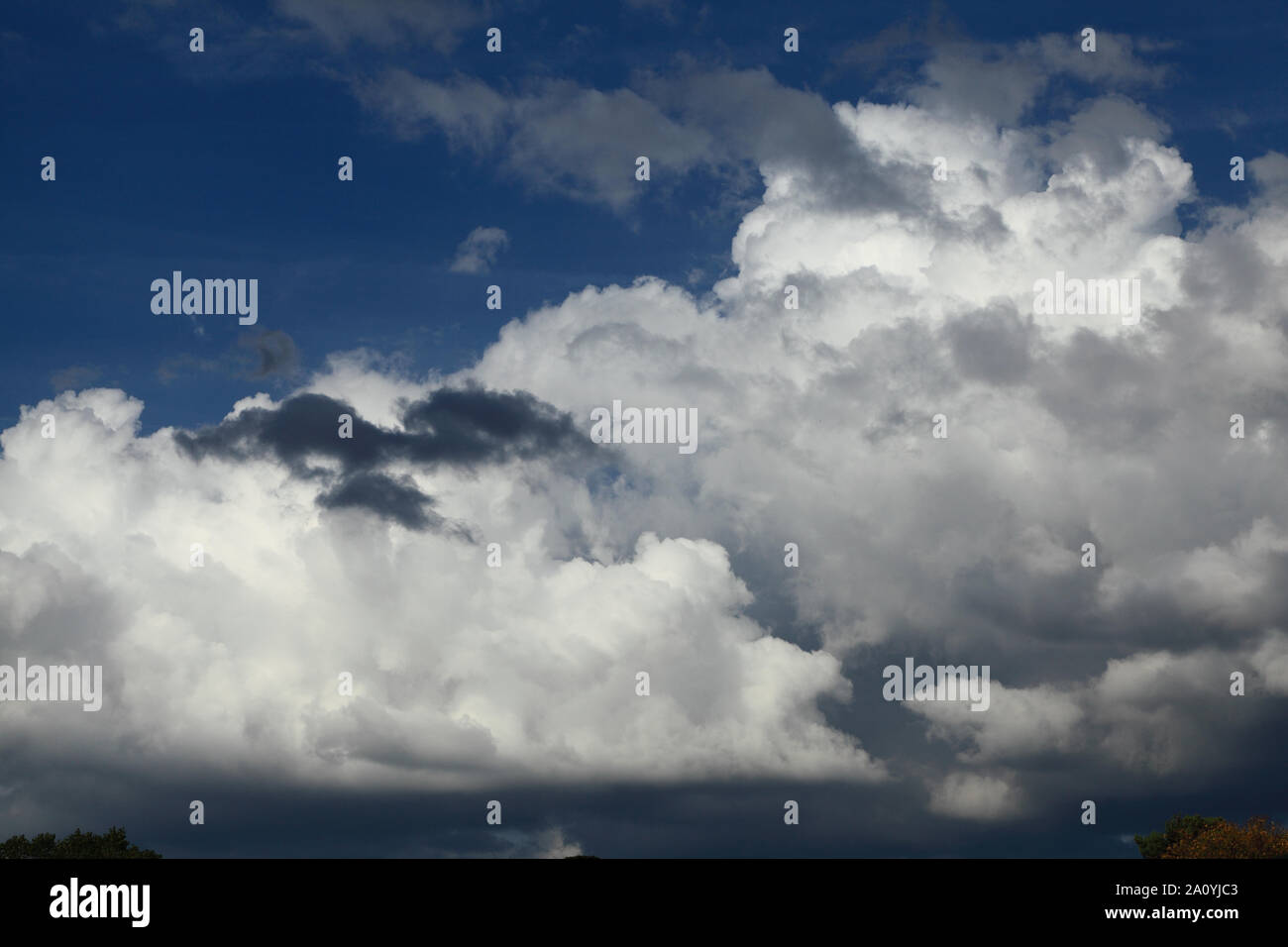 Blanc, gris, noir, nuage, nuages, turbulent, turbulence, ciel bleu, météo Banque D'Images