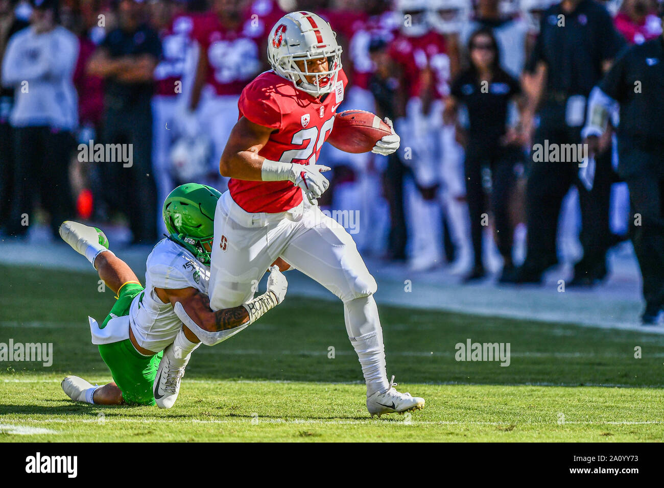 Stanford, Californie, USA. Sep 21, 2019. Au cours de la NCAA football match entre l'Oregon Ducks et le Stanford Cardinal à Stanford Stadium de Stanford, en Californie. Chris Brown/CSM/Alamy Live News Banque D'Images