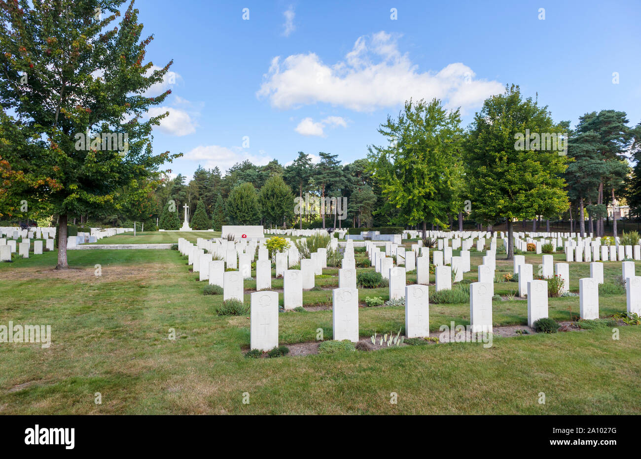 Les rangées de pierres tombales et croix dans la section canadienne de la au cimetière cimetière militaire de Brookwood, Pirbright, Woking, Surrey, Angleterre du Sud-Est, Royaume-Uni Banque D'Images