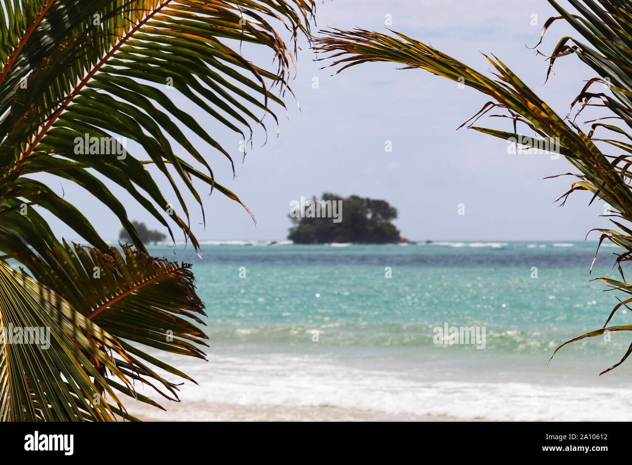 Tropical beach, vue sur la mer et l'île à travers les feuilles de palmier, selective focus Banque D'Images