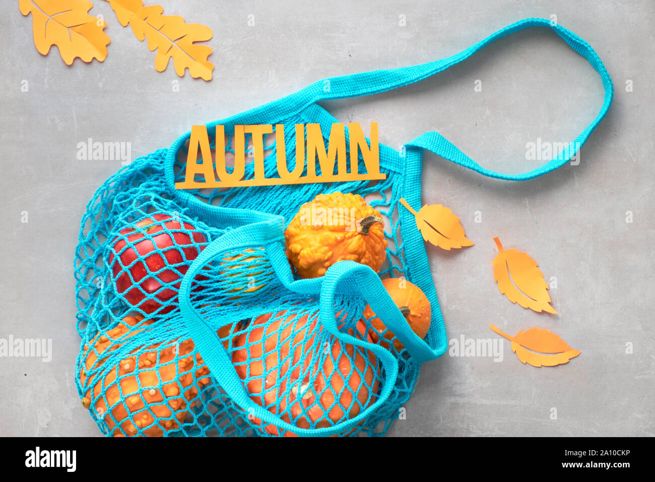 Mise à plat d'automne avec string turquoise sac avec citrouilles orange, top vie sur fond noir en gris Banque D'Images