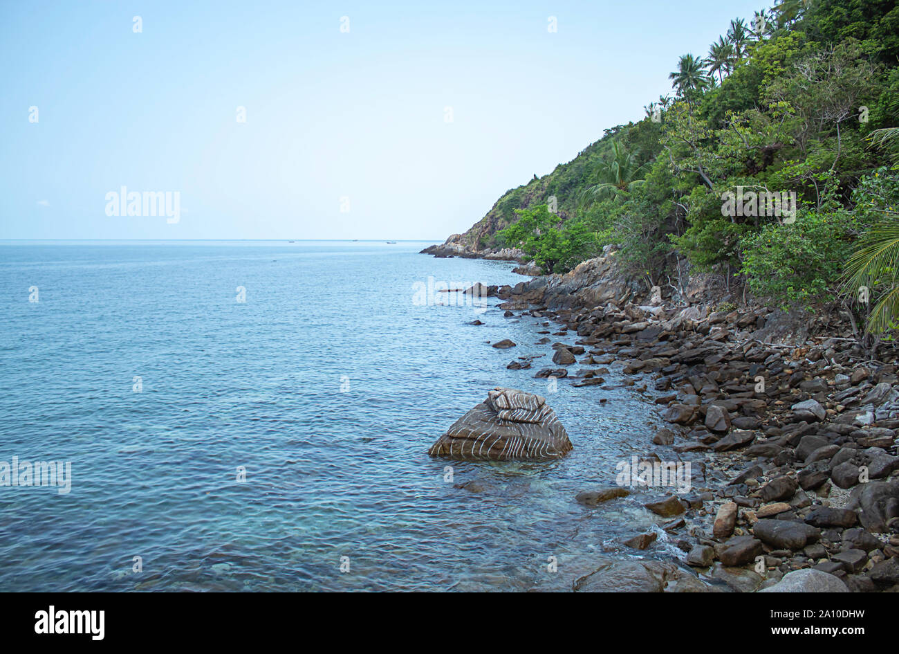 La beauté de la mer et des arbres sur les rochers dans l'île à Haad salad, Koh Phangan, Surat Thani en Thaïlande. Banque D'Images
