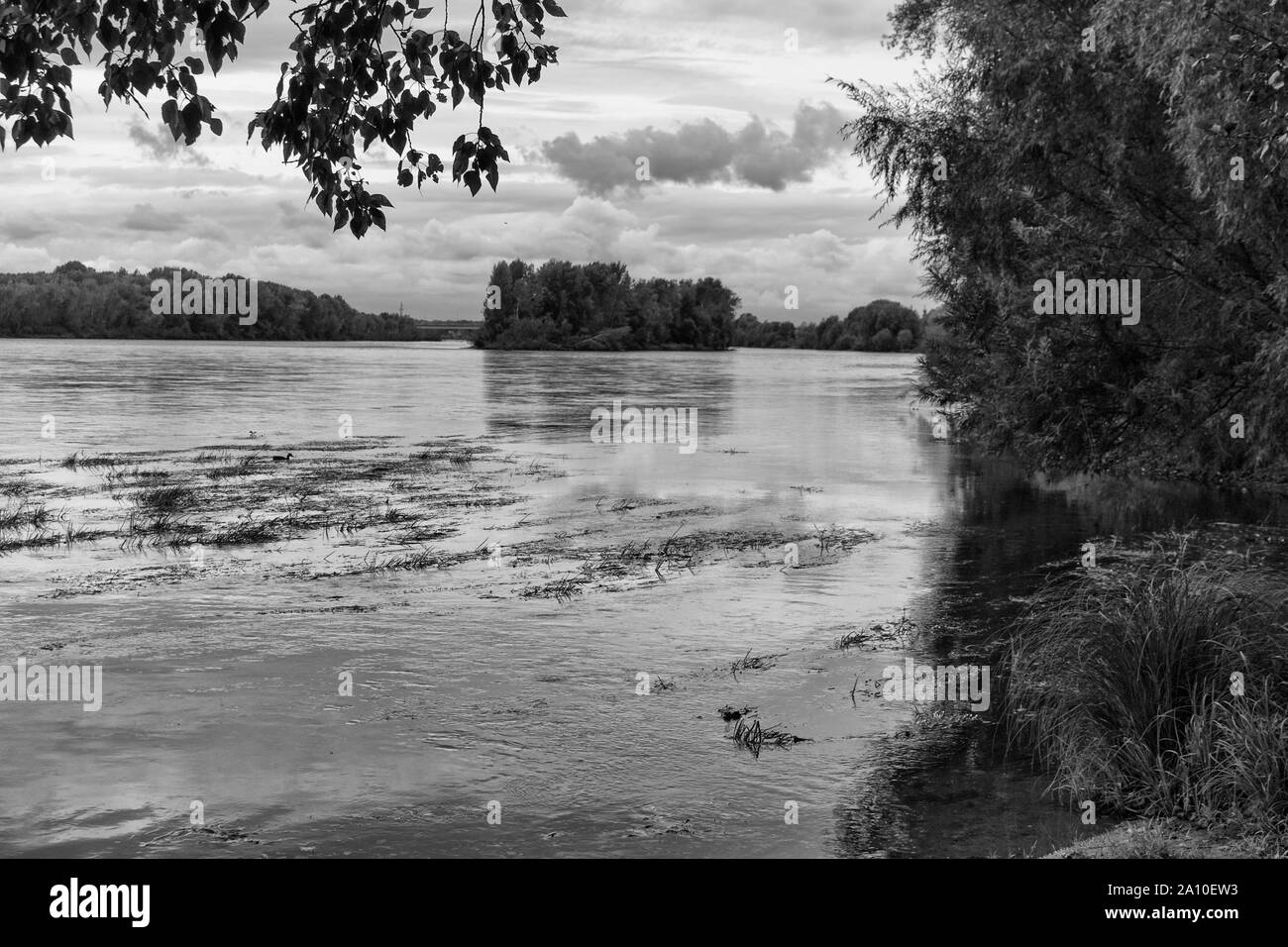 Rivière Nature Paysage. Irtych. Monochrome. Banque D'Images
