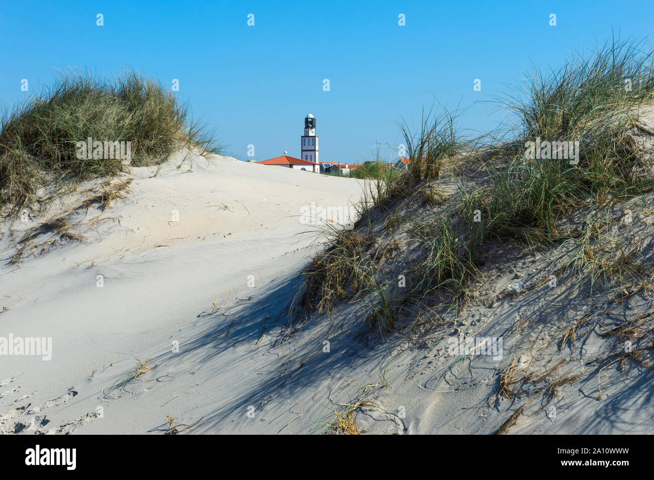 Dunes de Costa Nova Beach, Aveiro, Venise du Portugal, Beira Litoral, Portugal Banque D'Images