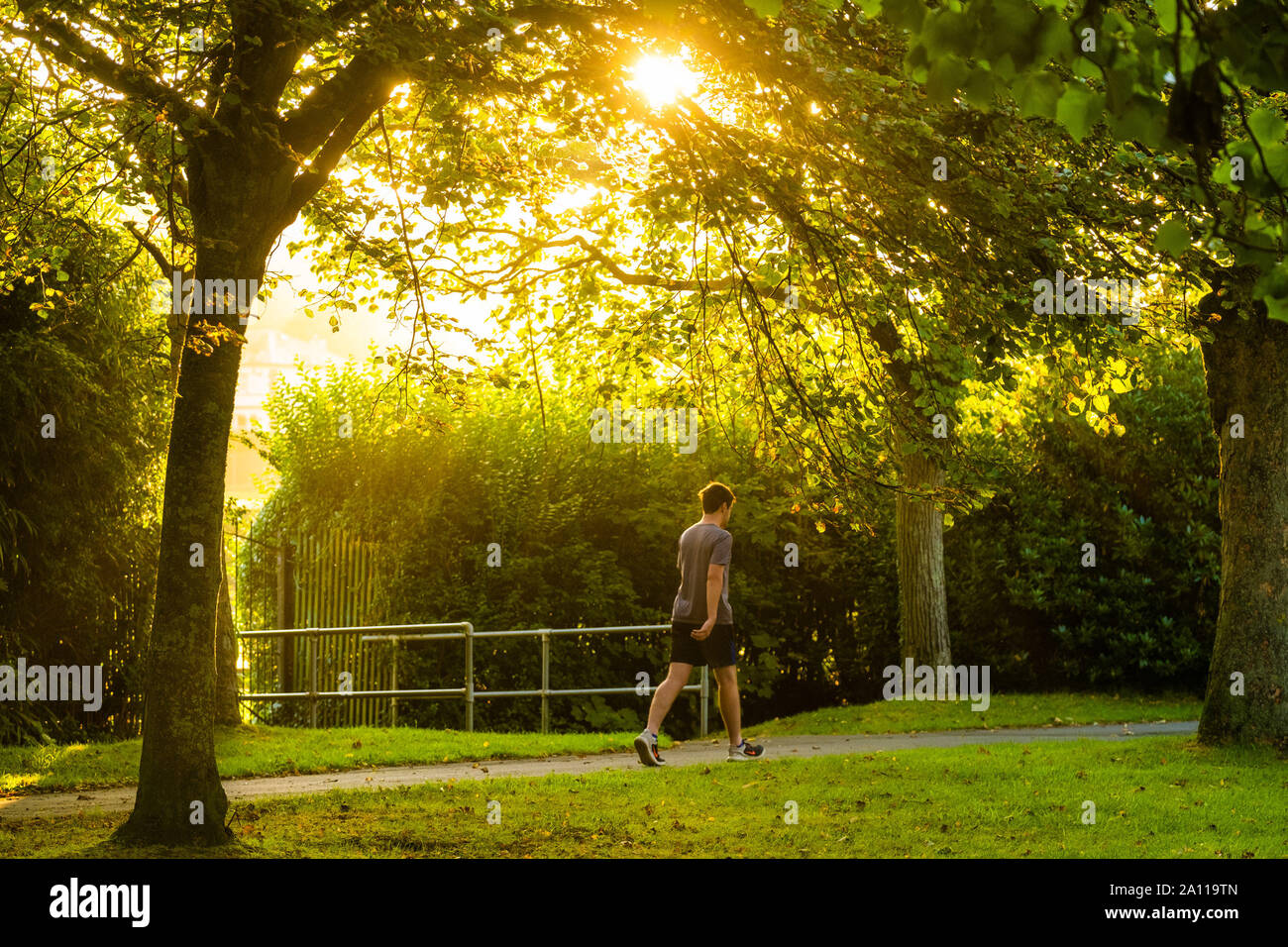 Aberystwyth, Pays de Galles, Royaume-Uni. Sept 23, 2019. Météo France : un homme marchant dans Plascrug Avenue à l'aube par un beau matin ensoleillé et Equinox, le 23 septembre 2019, le premier jour de l'automne dans l'hémisphère nord. Aujourd'hui, la durée du jour et nuit sont égaux de l'hoplostète. Crédit photo : Keith morris/Alamy Live News Banque D'Images