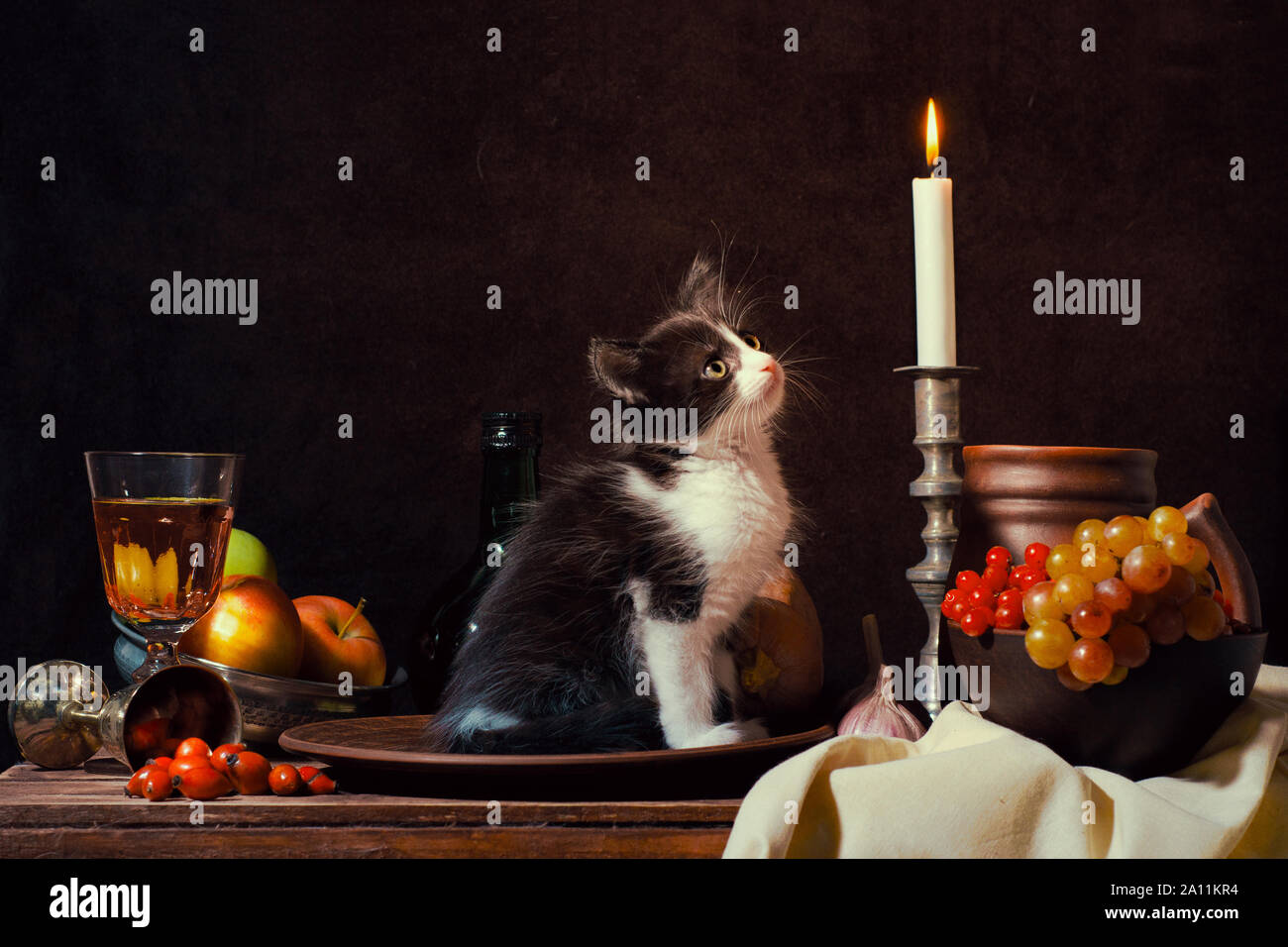 Still Life de chaton noir et blanc assis sur une plaque d'argile et en regardant une bougie allumée sur fond sombre Banque D'Images