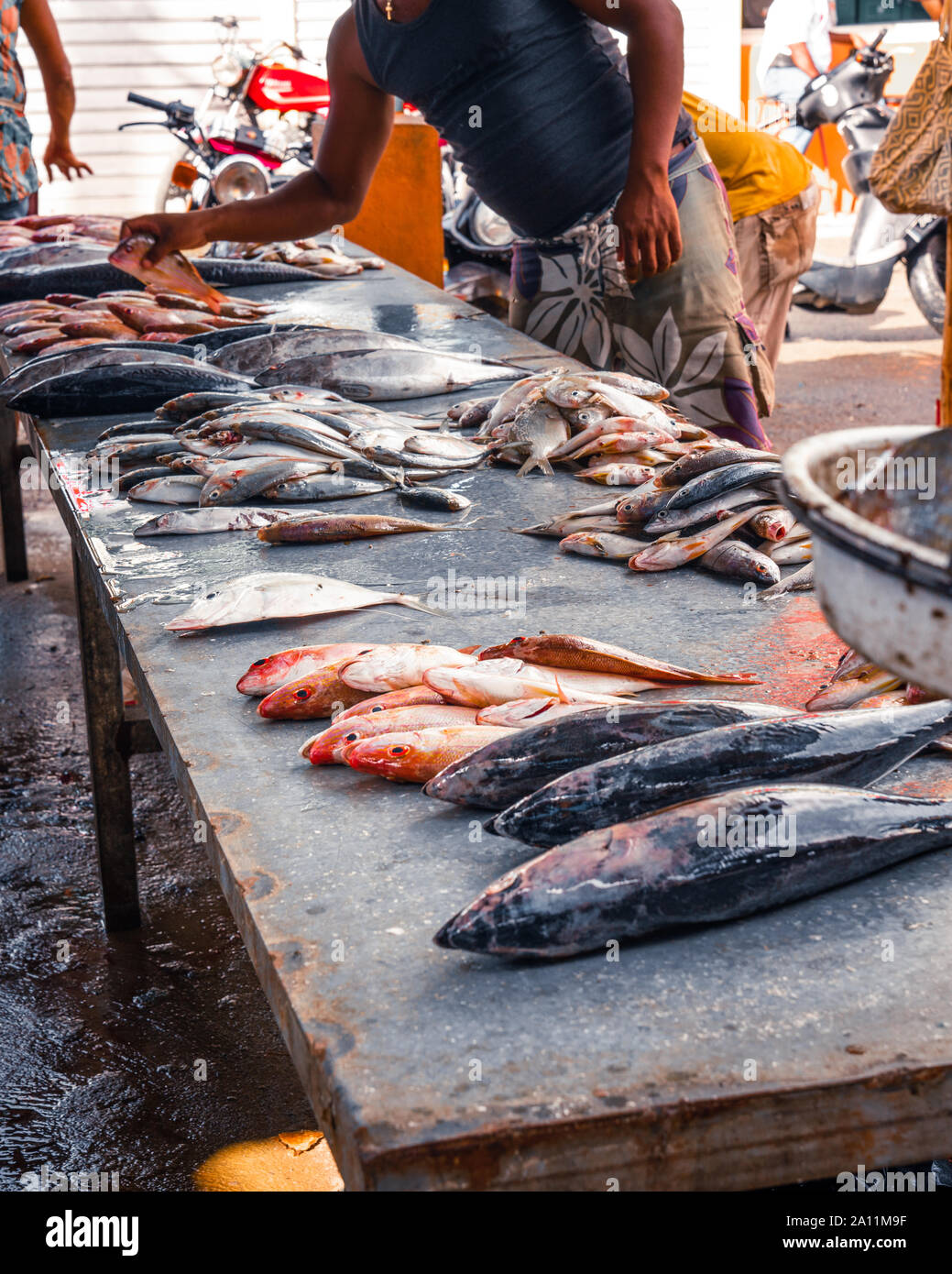 La vente au détail de poissons sur le comptoir sale du marché aux poissons, autour de personnes qui regardent et choisissez des poissons. Banque D'Images