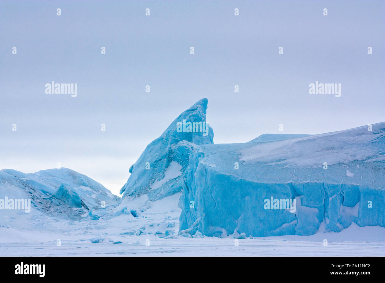 Congelé Icebergs/emprisonné dans la glace de mer. Snow Hill Island, l'Antarctique Banque D'Images