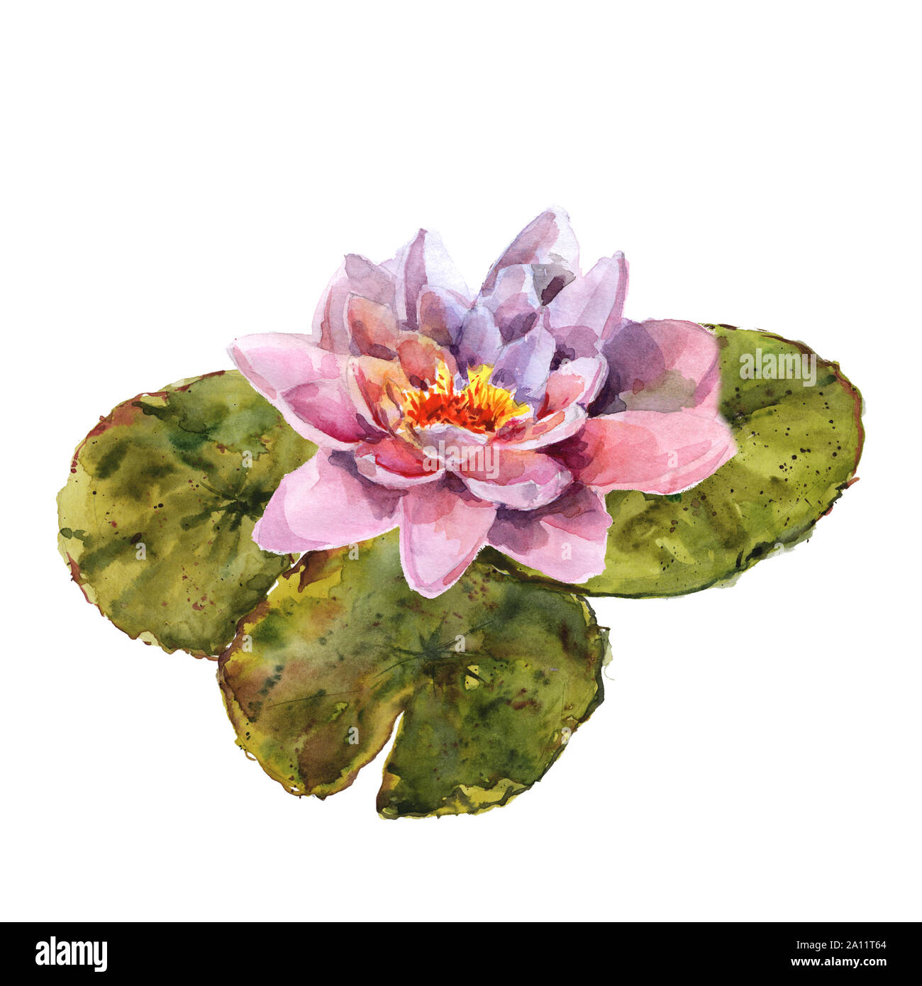 Les Feuilles De Nenuphar Et De Fleurs Bouquet Dessin Aquarelle Rose Et Violet Et Vert Ornement Fleurs Photo Stock Alamy