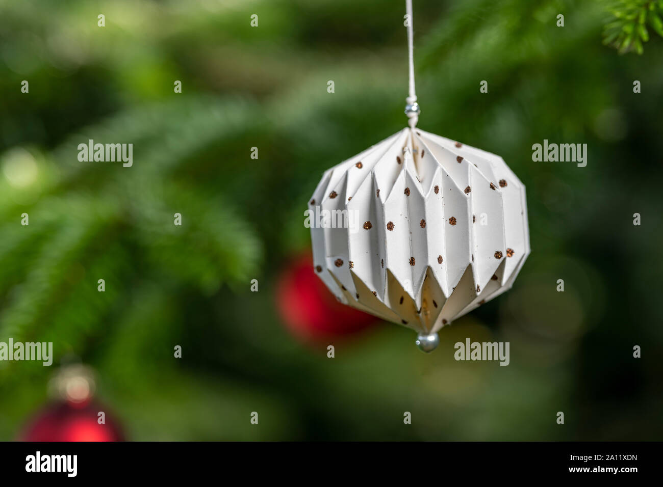 Un Weihnachtsschmuck Tannengrün durch Bouket freigestellt Banque D'Images