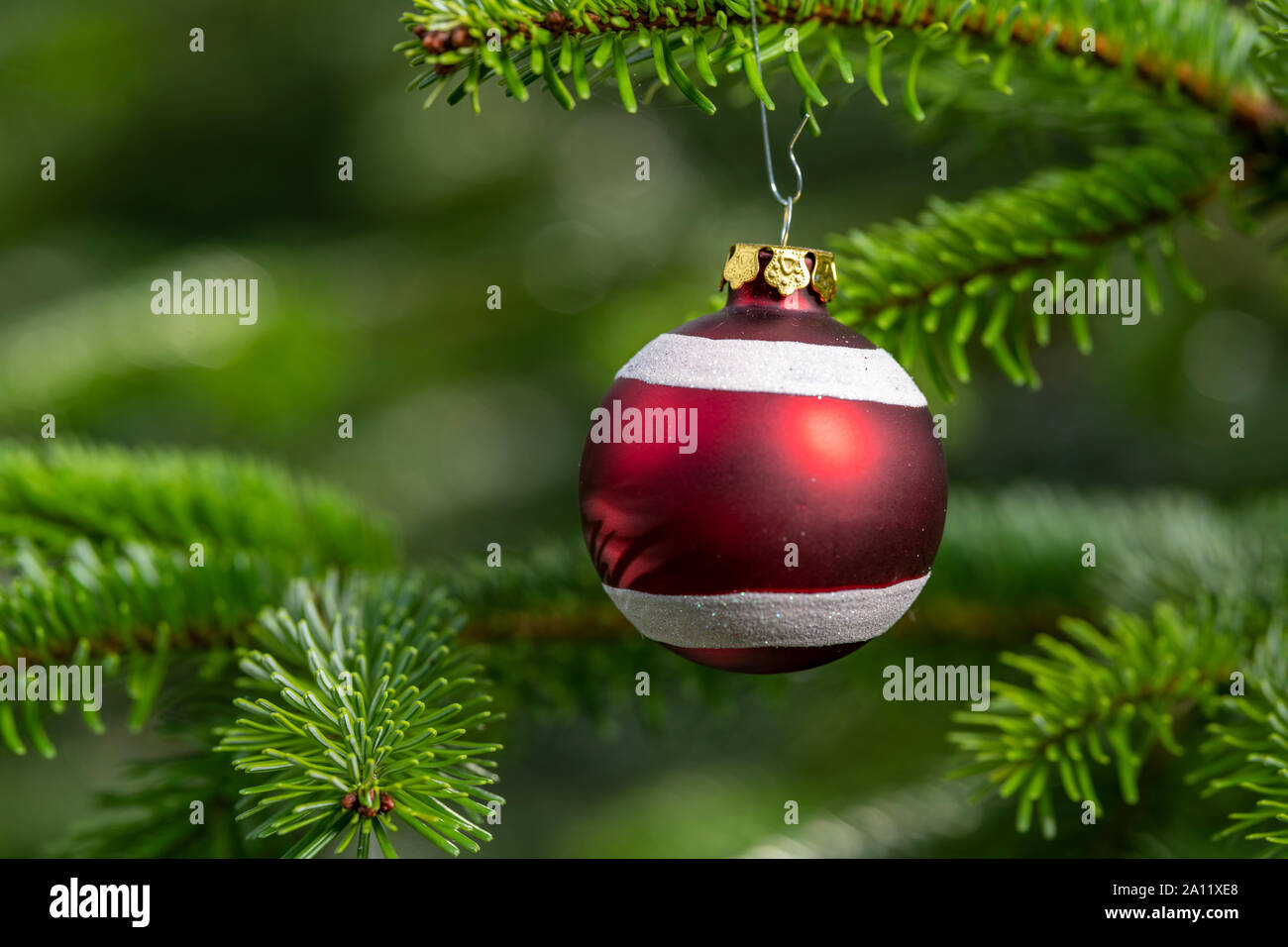 Décoration de Noël avec arbre de Noël pour chats Banque D'Images