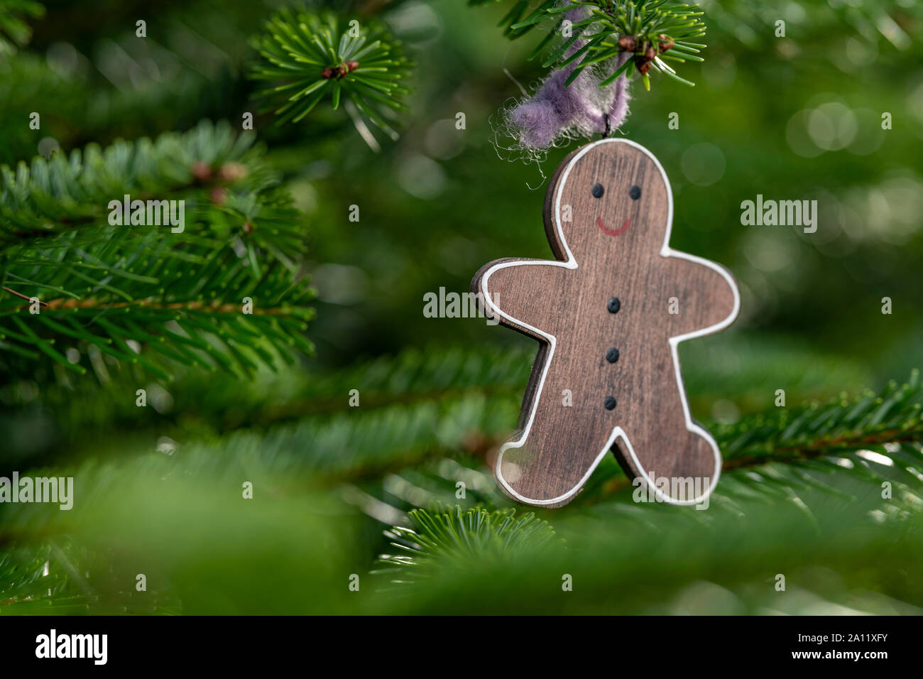 Décoration de Noël avec arbre de Noël pour chats Banque D'Images