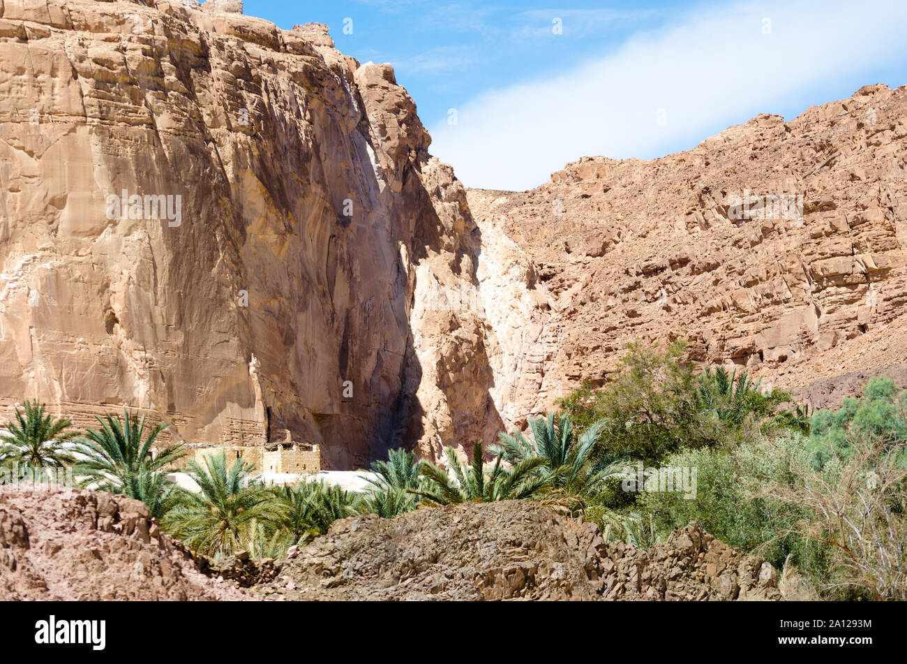 Bédouins vivant dans une oasis dans le désert entre les montagnes en Egypte Dahab Banque D'Images