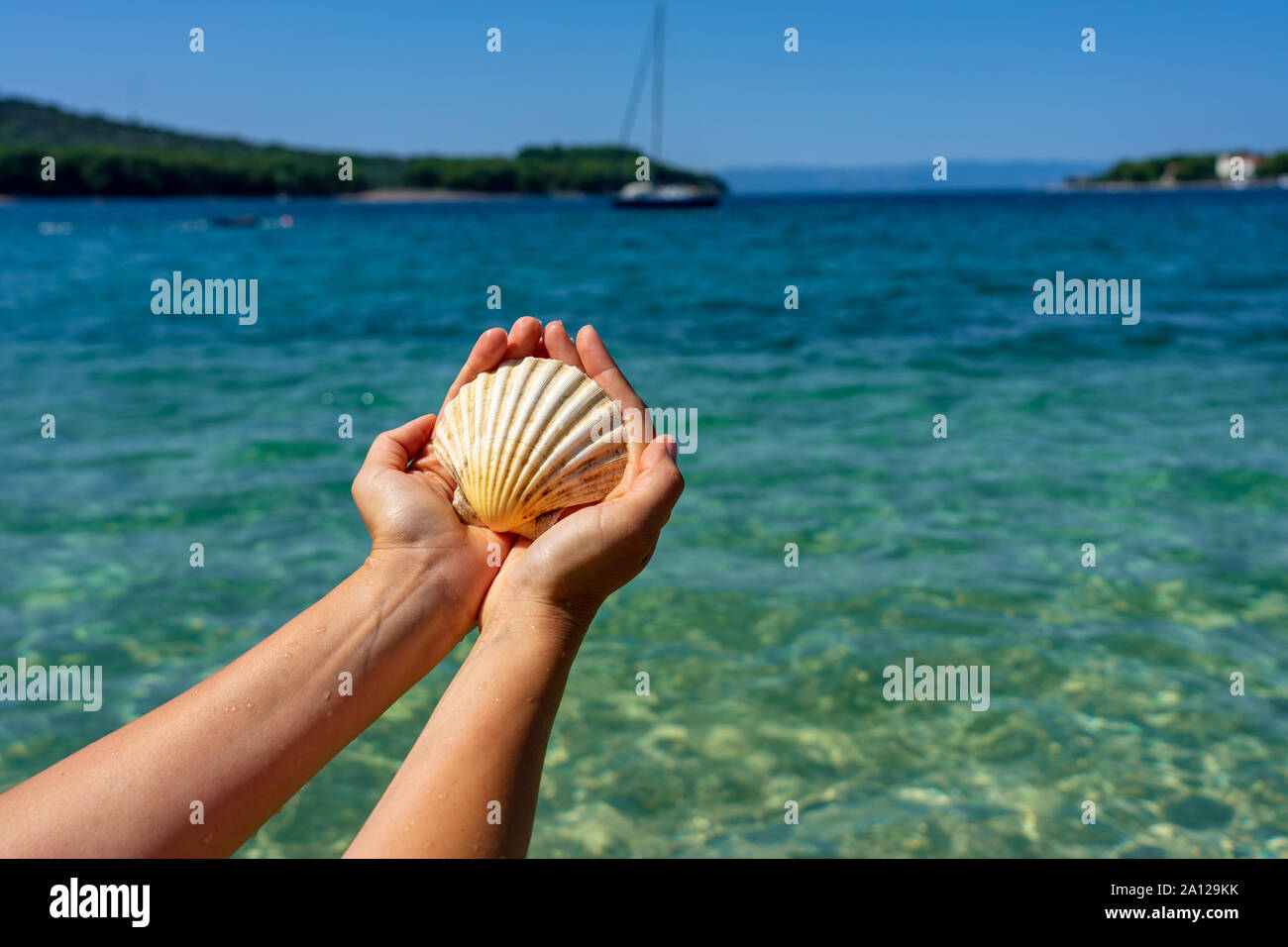 Holding shell sur la plage mer vacances fond bleu Banque D'Images