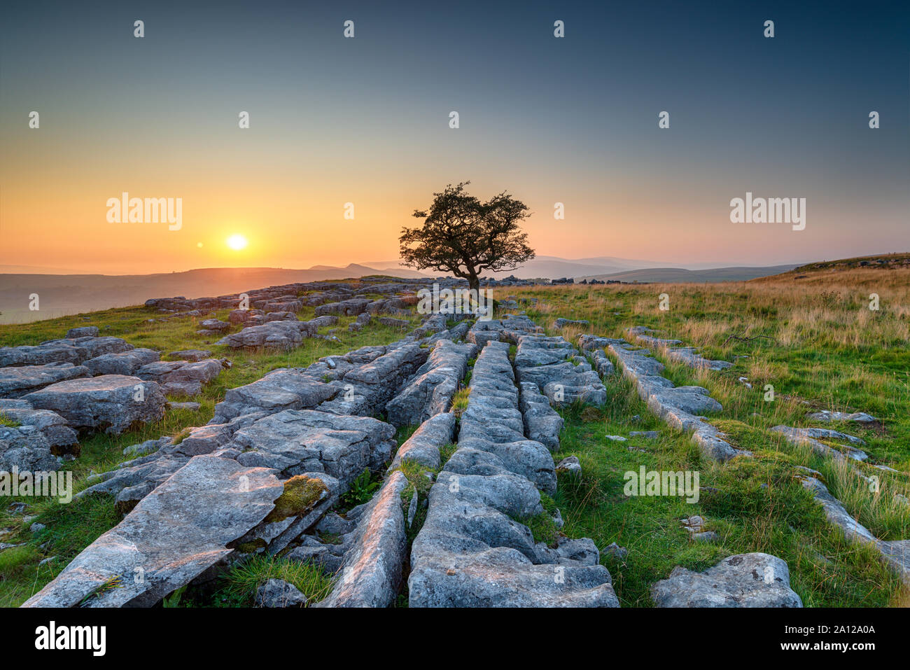 Magnifique coucher de soleil sur un seul arbre d'aubépine, fruit d'un lapiez au Winskill pierres dans le Yorkshire Dales Banque D'Images
