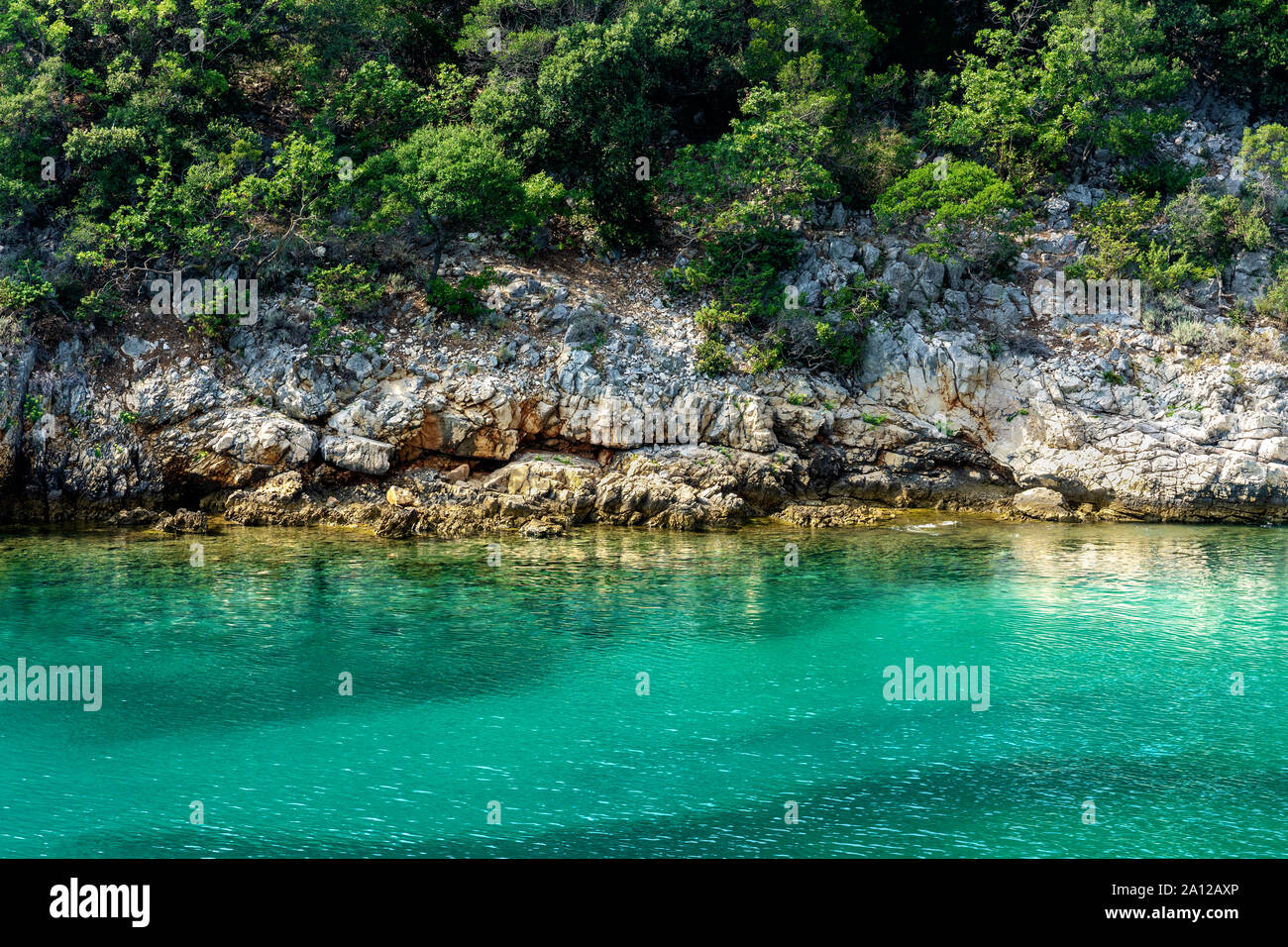 Rocky seashore sur Croatie islans aux eaux turquoises et de pins Banque D'Images