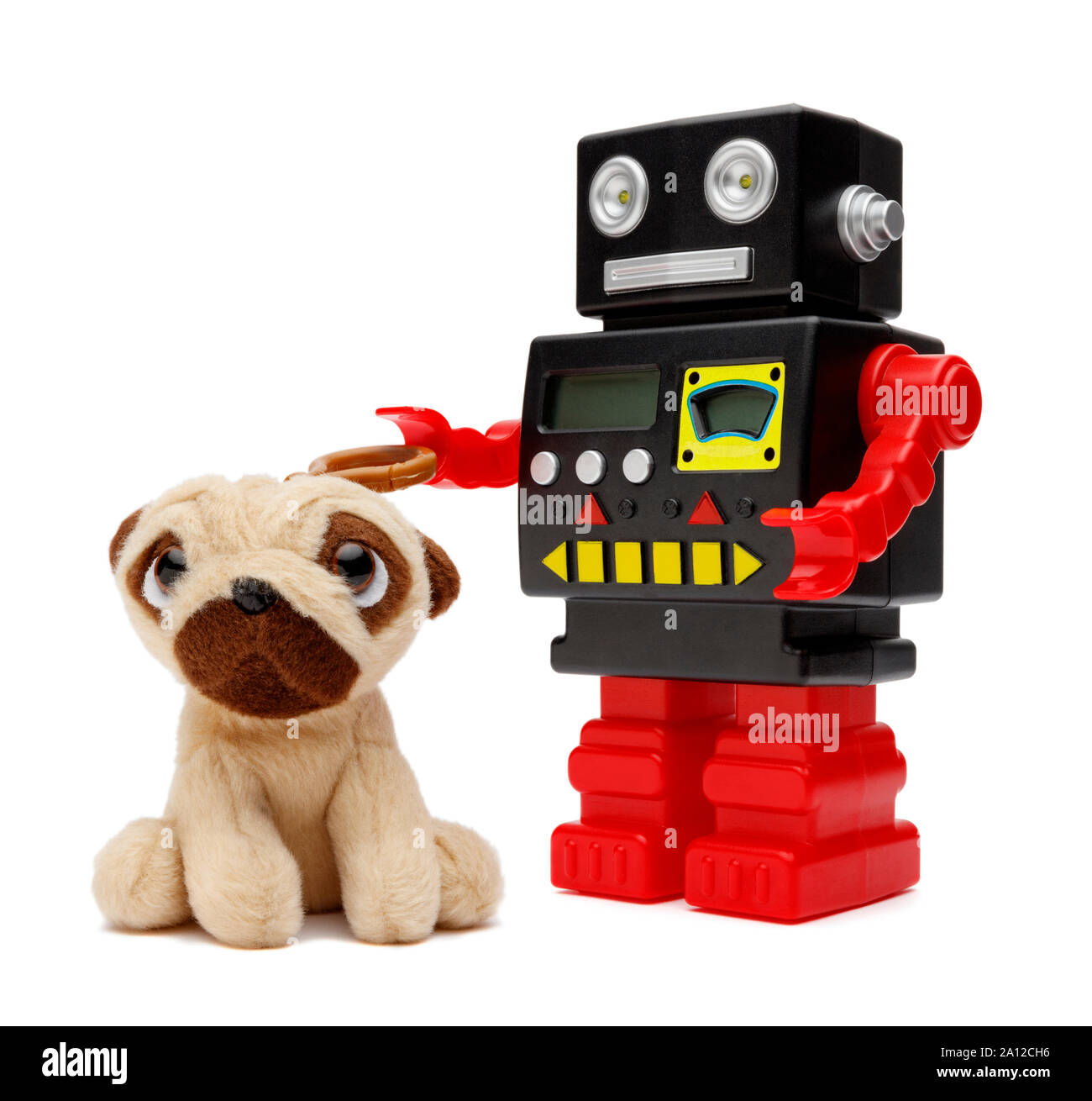 Un robot jouet prend son jouet pour animaux de compagnie pour une promenade  du pug, isolé sur fond blanc Photo Stock - Alamy