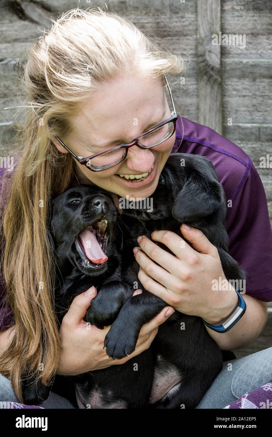 Blonde woman wearing glasses hugging deux chiots Labrador noir. Banque D'Images