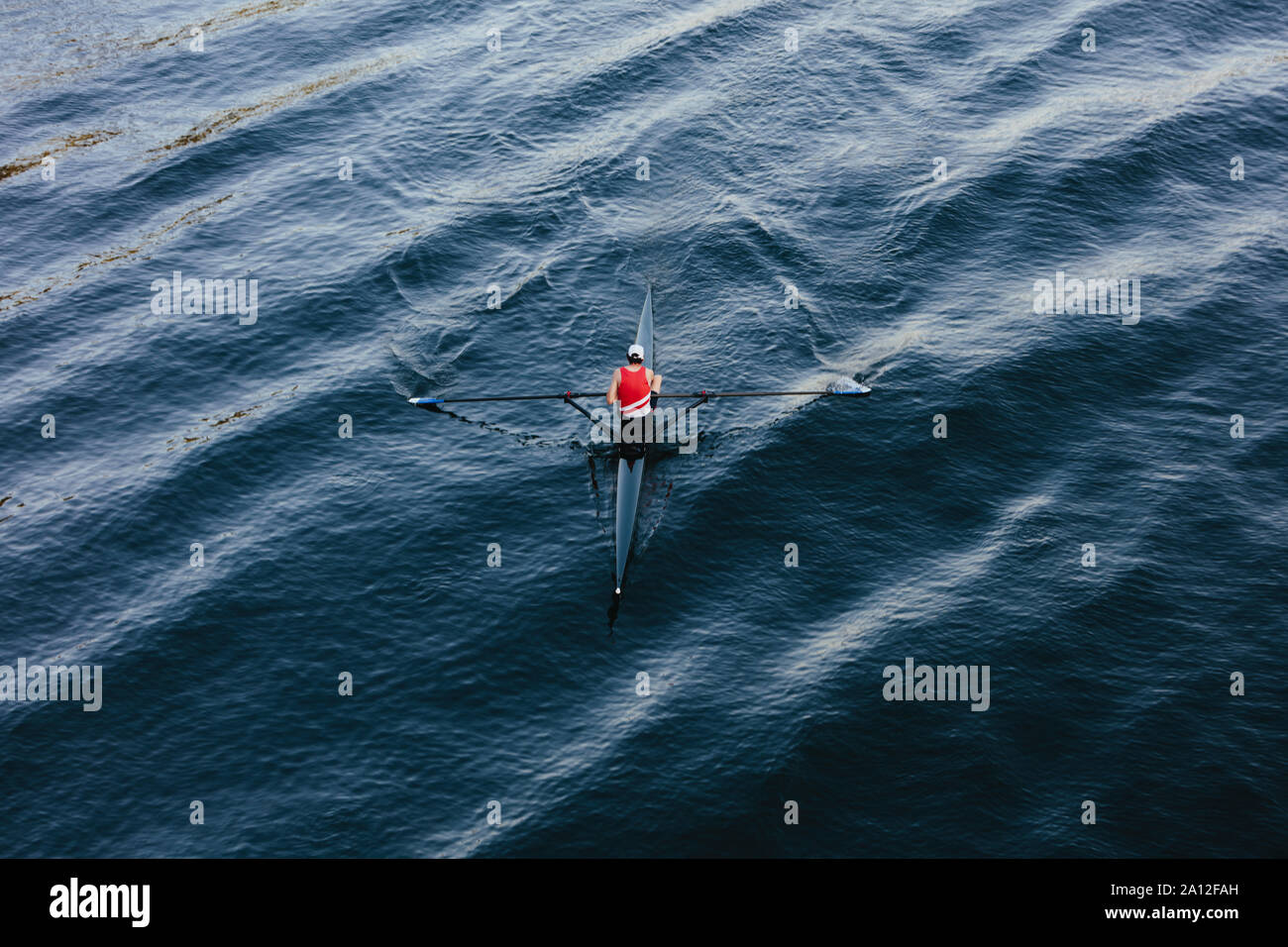 Vue de dessus de l'équipage skiff racer, Lake Union, Seattle, Washington, USA. Banque D'Images