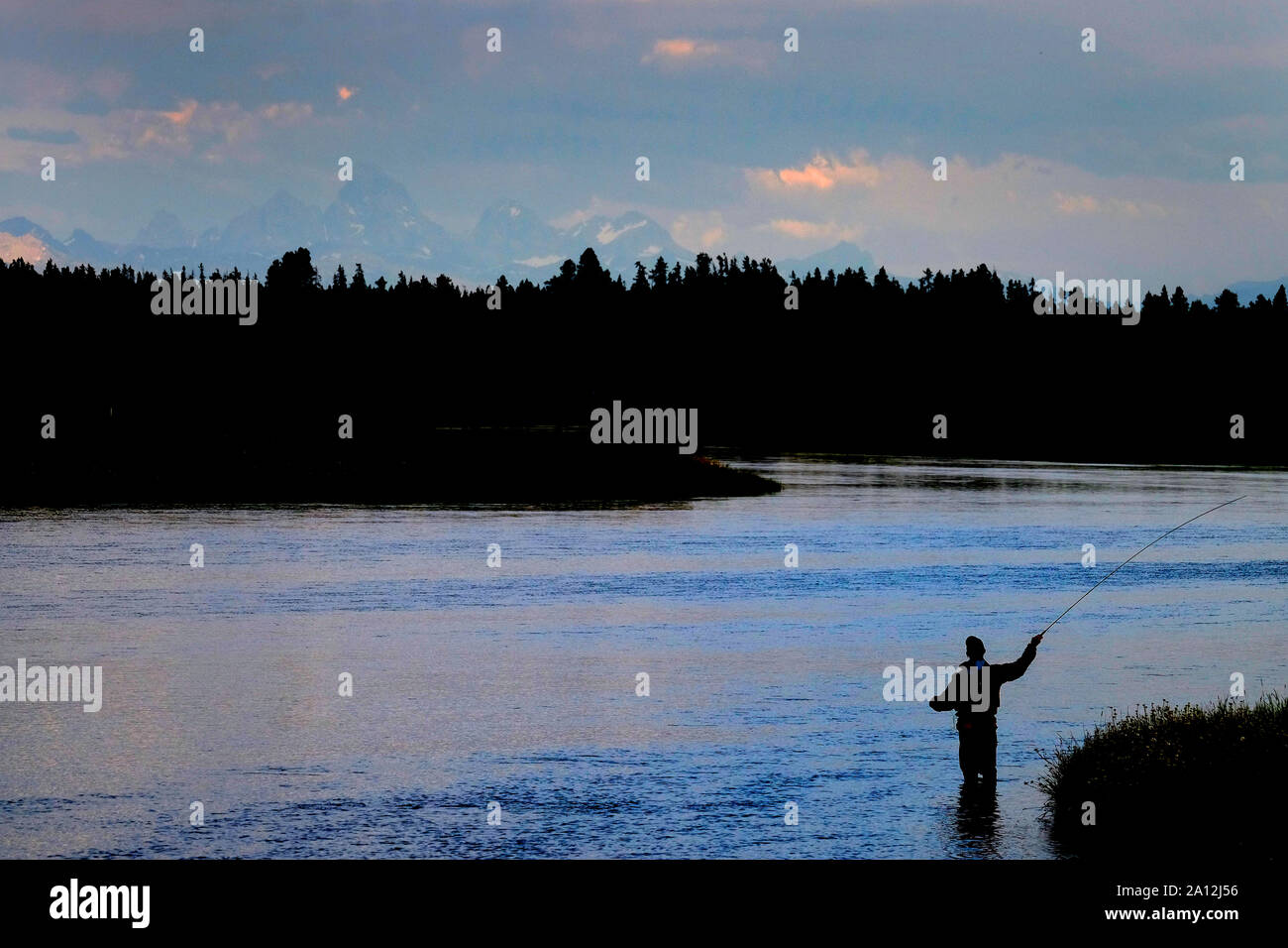 Flyfisherman pêcheur de mouche La pêche en rivière avec Tetons en arrière-plan Banque D'Images