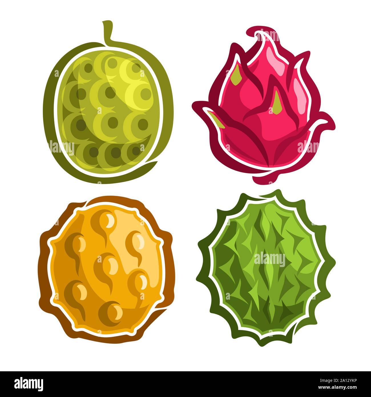 Vector Set icônes colorées de fruits exotiques : 4 logos primitive de fruits thaïlandais isolé sur blanc, ensemble d'autocollants pour simple caricature de jus ou de candy, labe Illustration de Vecteur