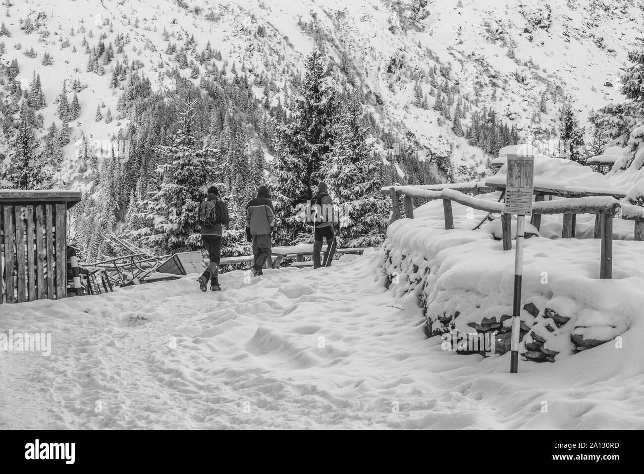 Trois randonneurs de se lancer dans l'expédition d'hiver, dans les Carpates roumaines Banque D'Images