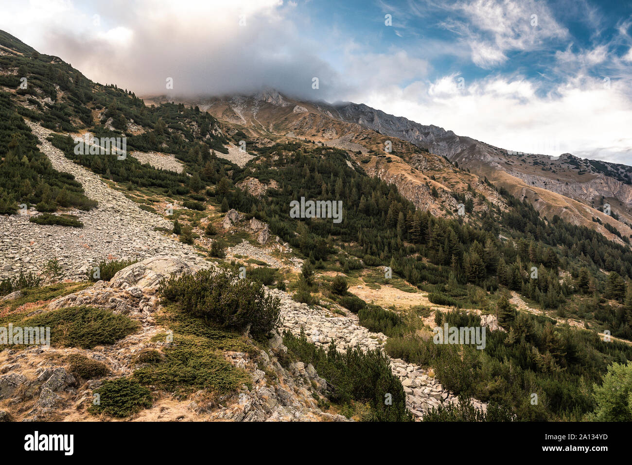 La Bulgarie. Vue panoramique de la montagne de Pirin Banque D'Images