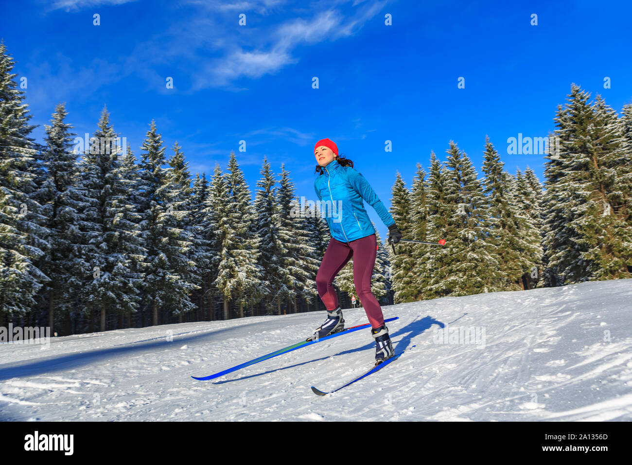 Une femme à ski de fond ou ski de tournant dans la forêt d'hiver Banque D'Images