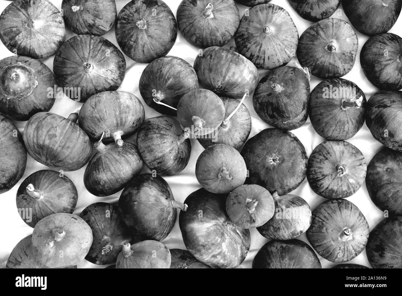 Noir et blanc oignon yalta. texture de remplissage Fraîcheur des oignons. Banque D'Images